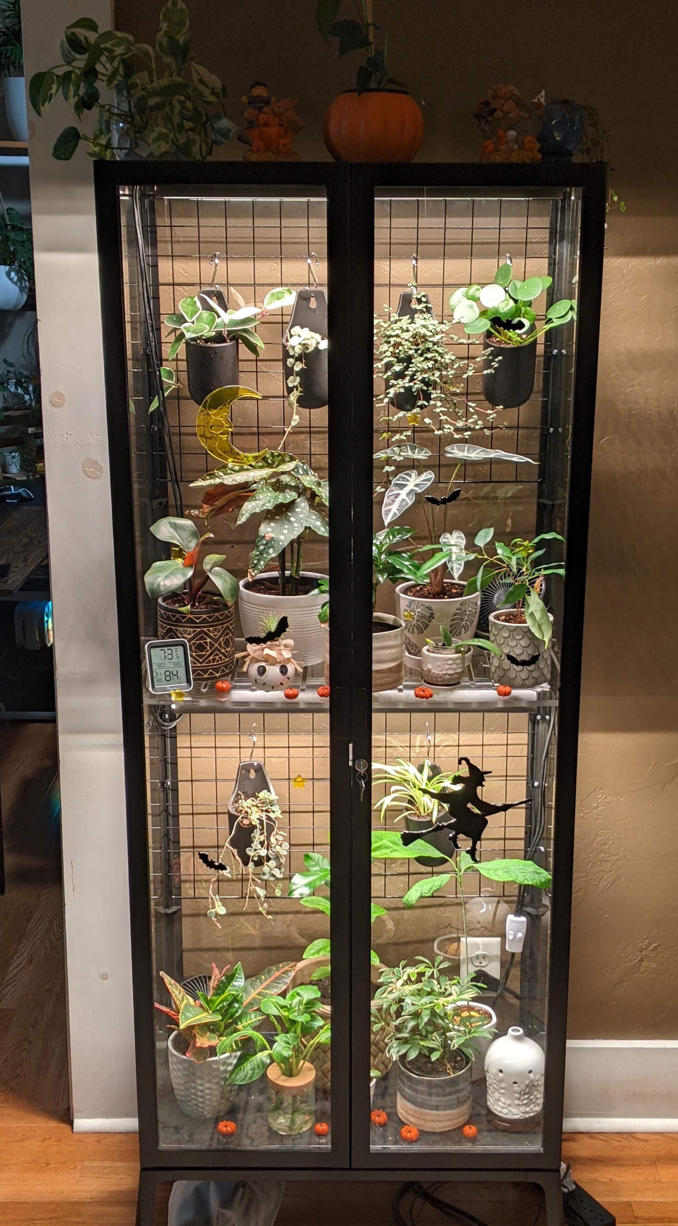 Got excited and put up Halloween decorations! My Milsbo is my favorite