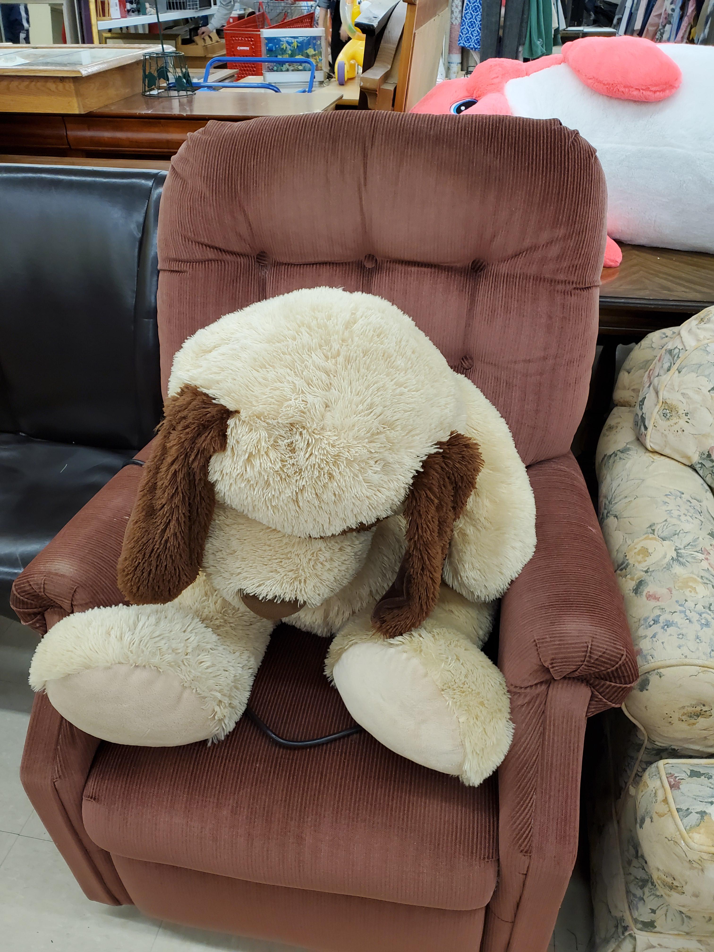 Just a sad stuffed dog at a Savers. r/pics