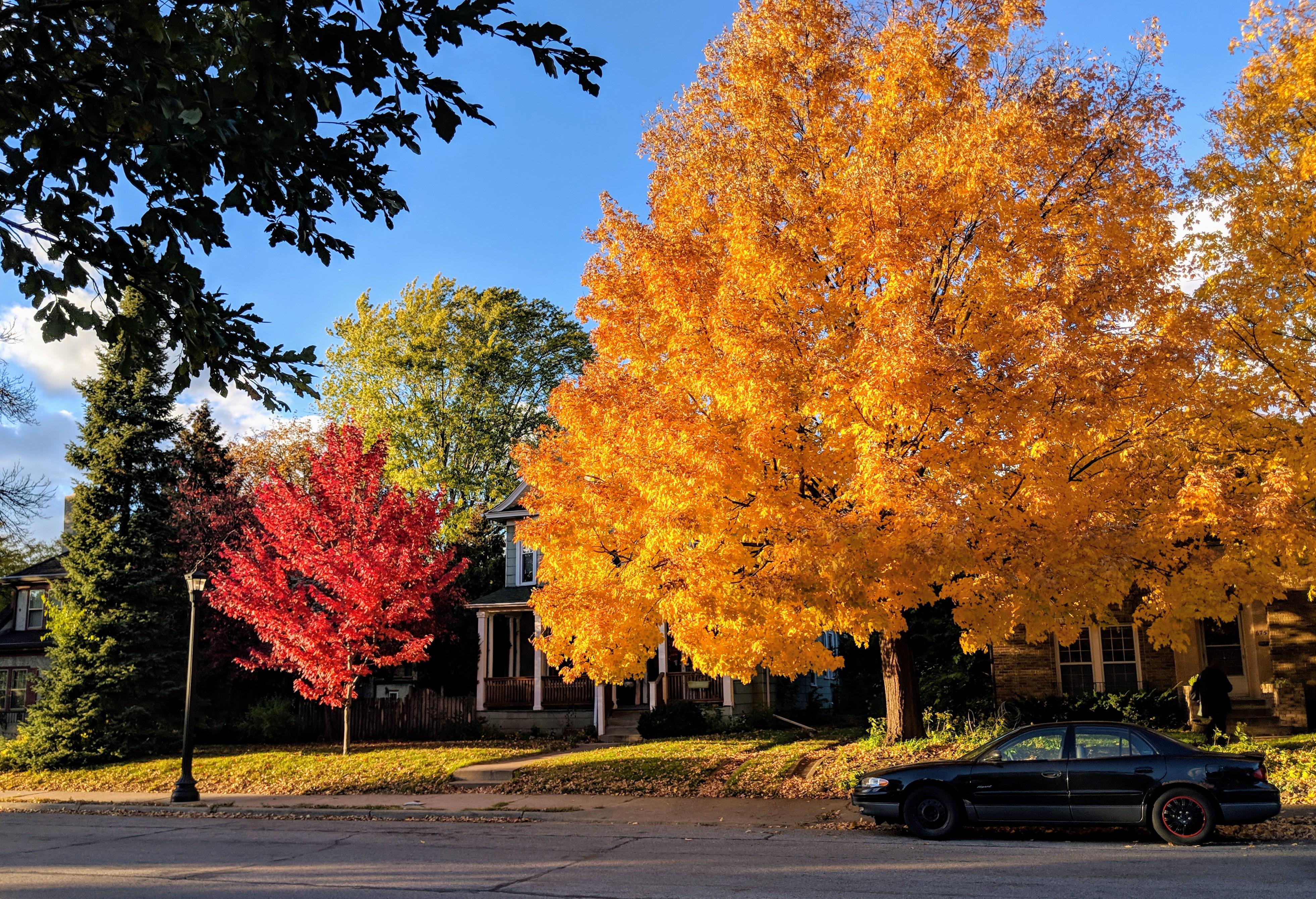 Stopped my run to snap this pic in Logan Park. Best time of the year! 🍂