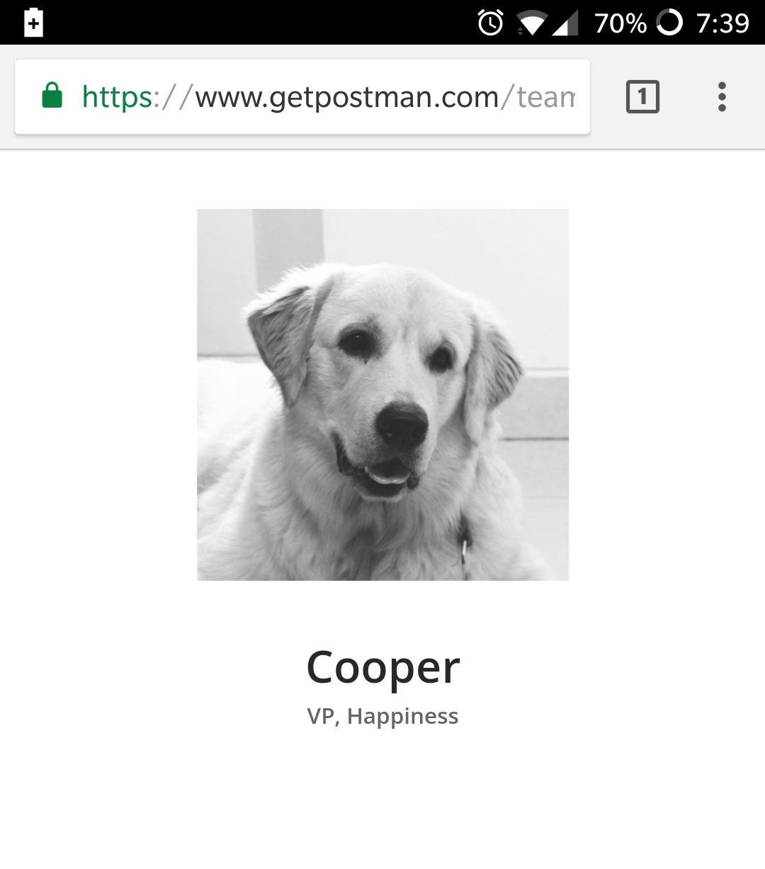 So my friends both have jobs and can't look after their dog during the