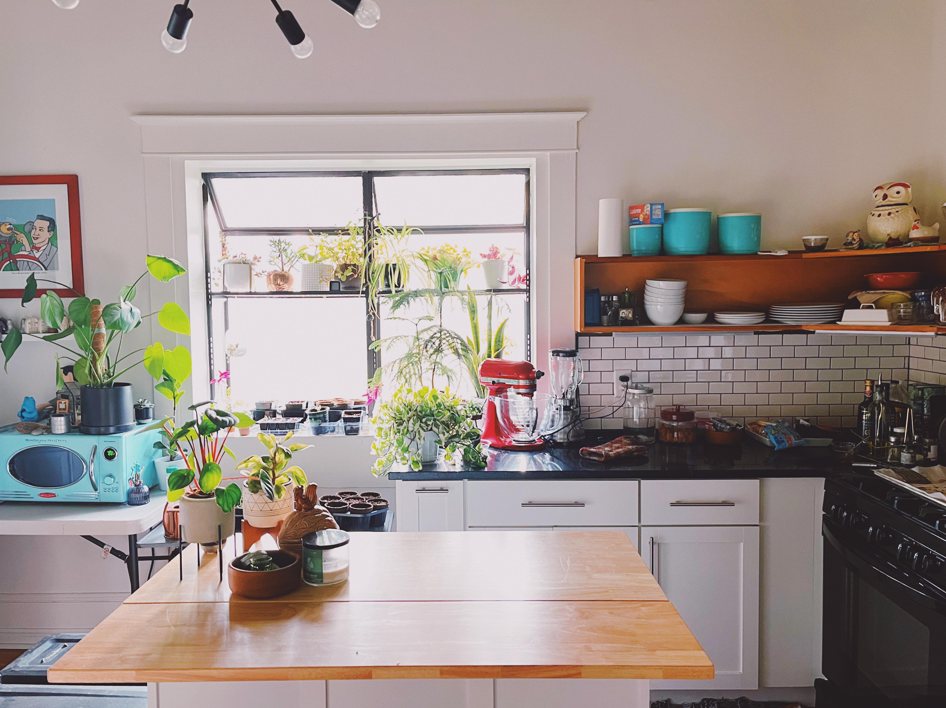 my cozy little slc kitchen r/CozyPlaces