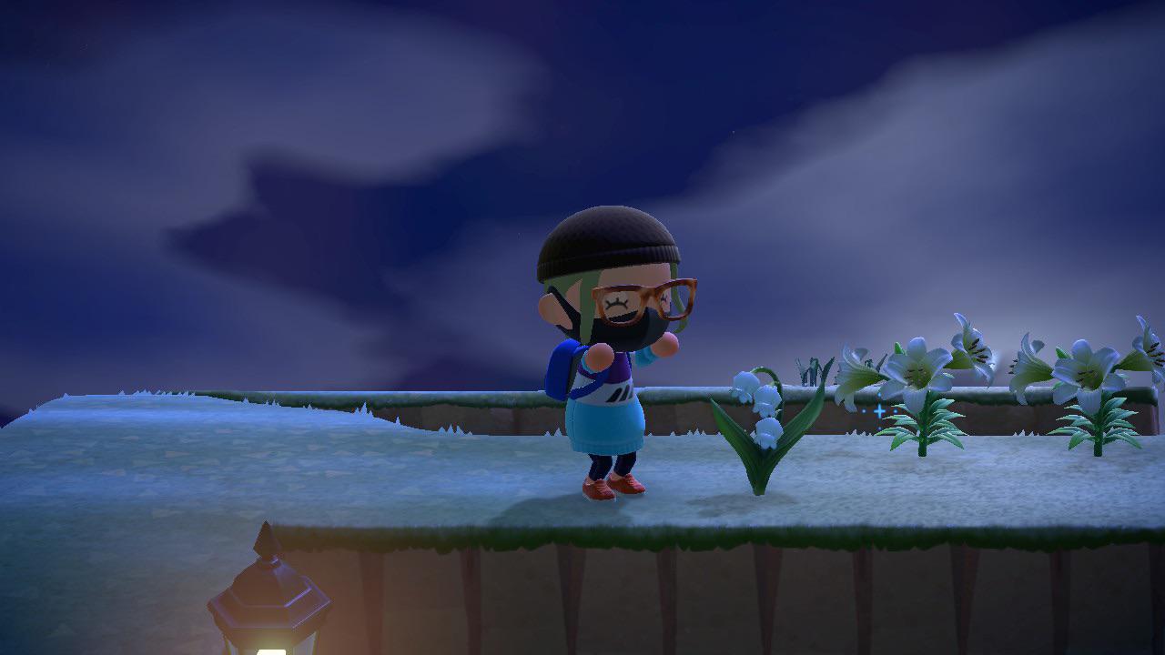 I’ve been working hard to make my island perfect and came across this