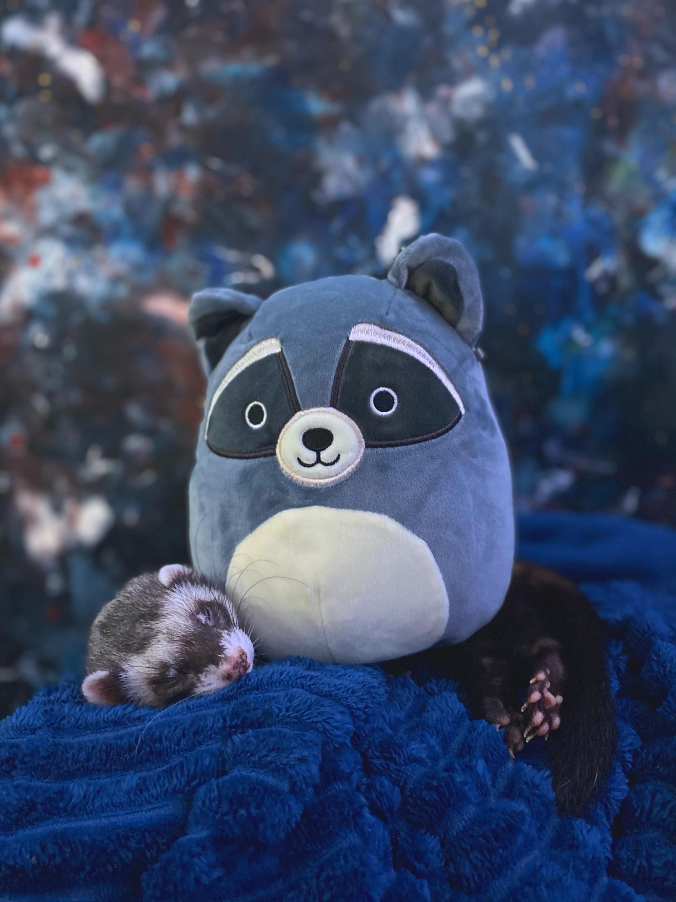 I yearn for a ferret squishmallow r/squishmallow