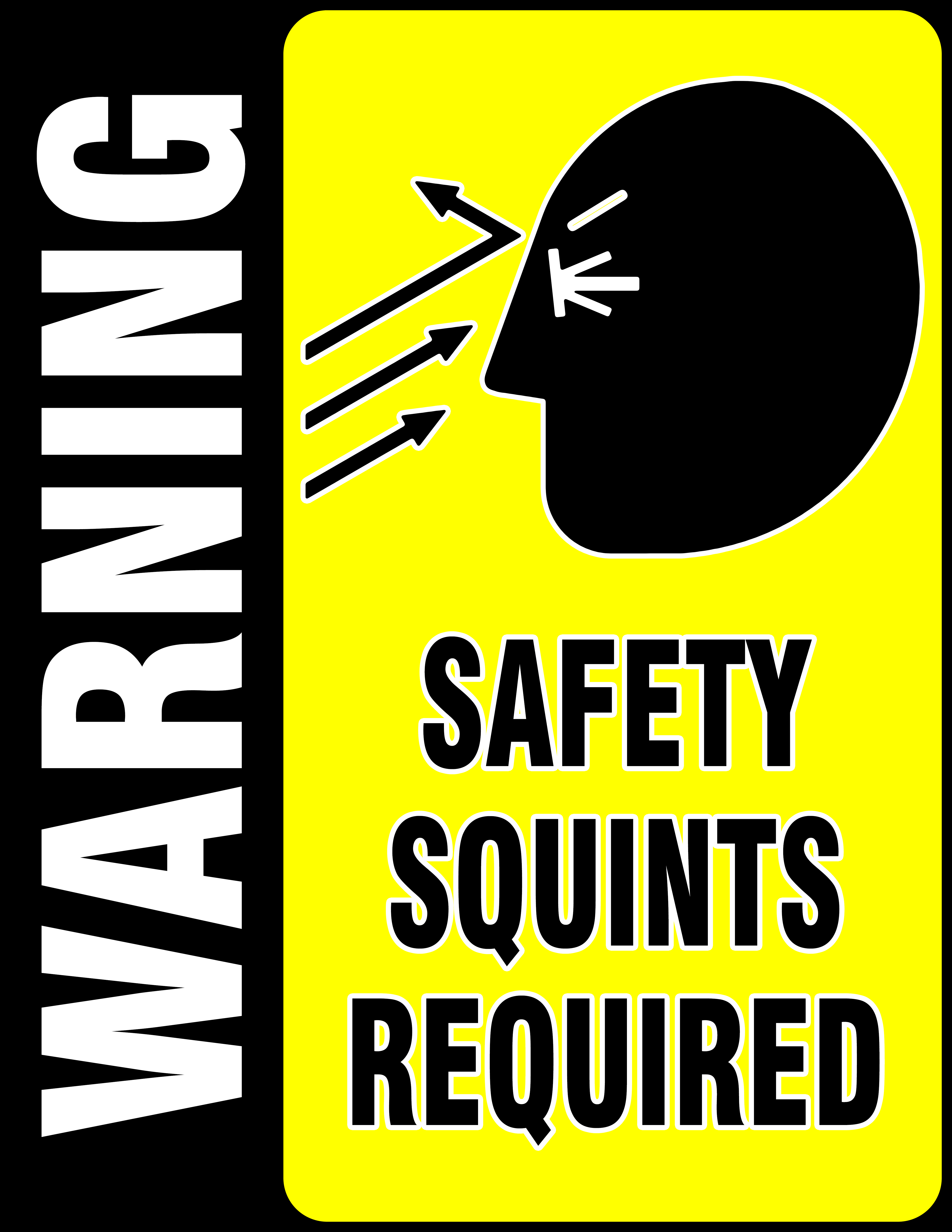 Safety Squints Required (OC) [4636x6000] r/AvE_Art