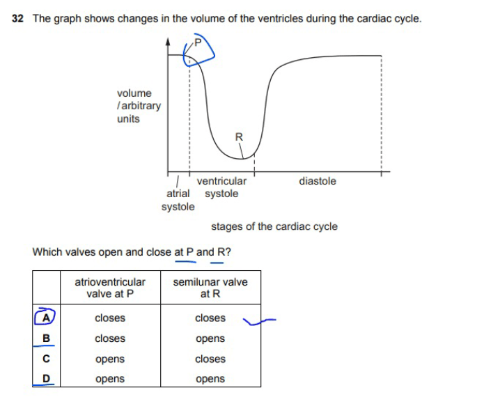 Why is B wrong? Why is the semilunar valve closed during the
