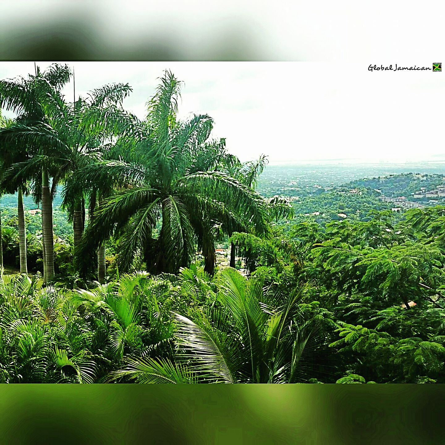 45 best Kingston Jamaica images on Pholder Old School Cool, Bicycling