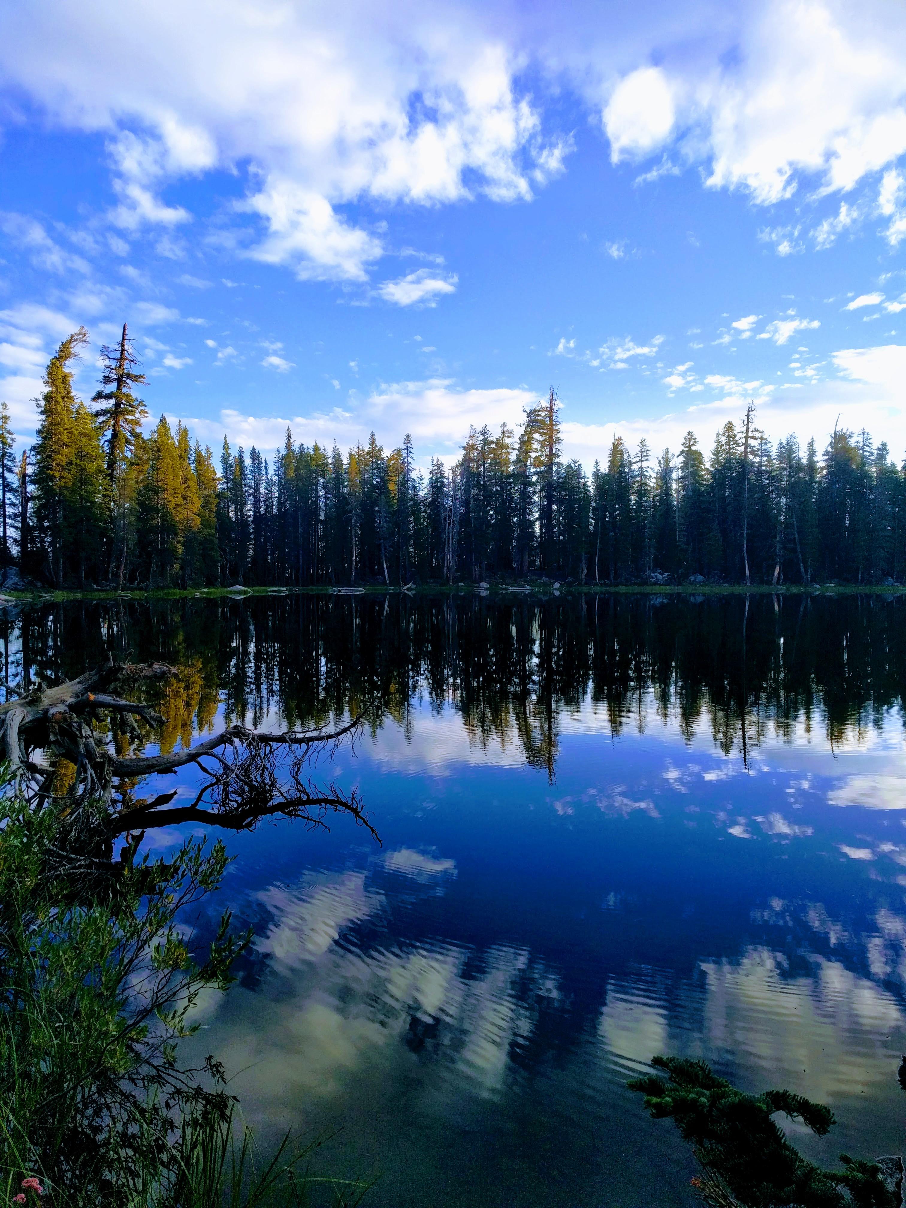 Early morning at Brewer Lake in the central Sierras r/camping