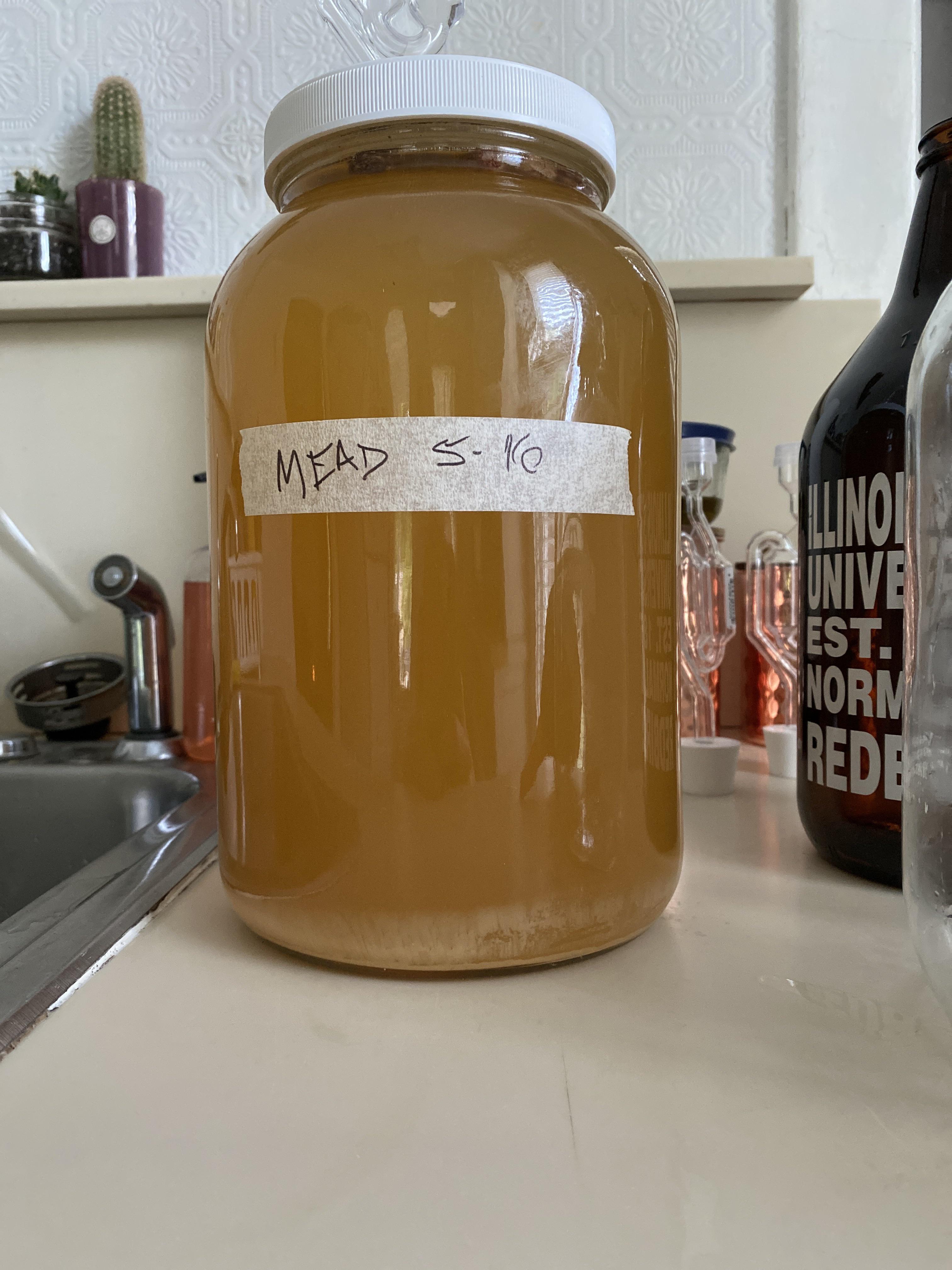 Should I Rack? r/mead