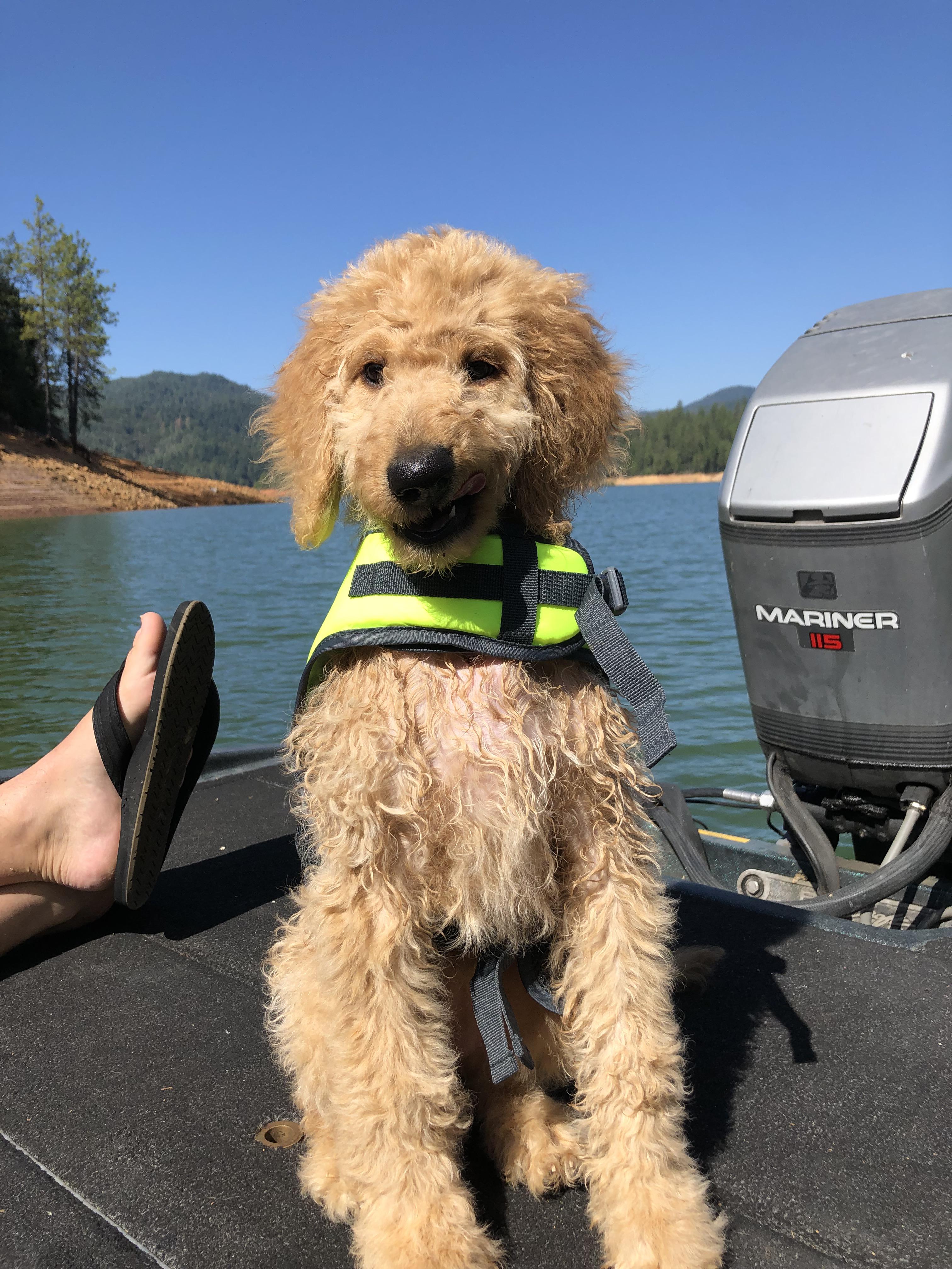 overview for Its_Anjee