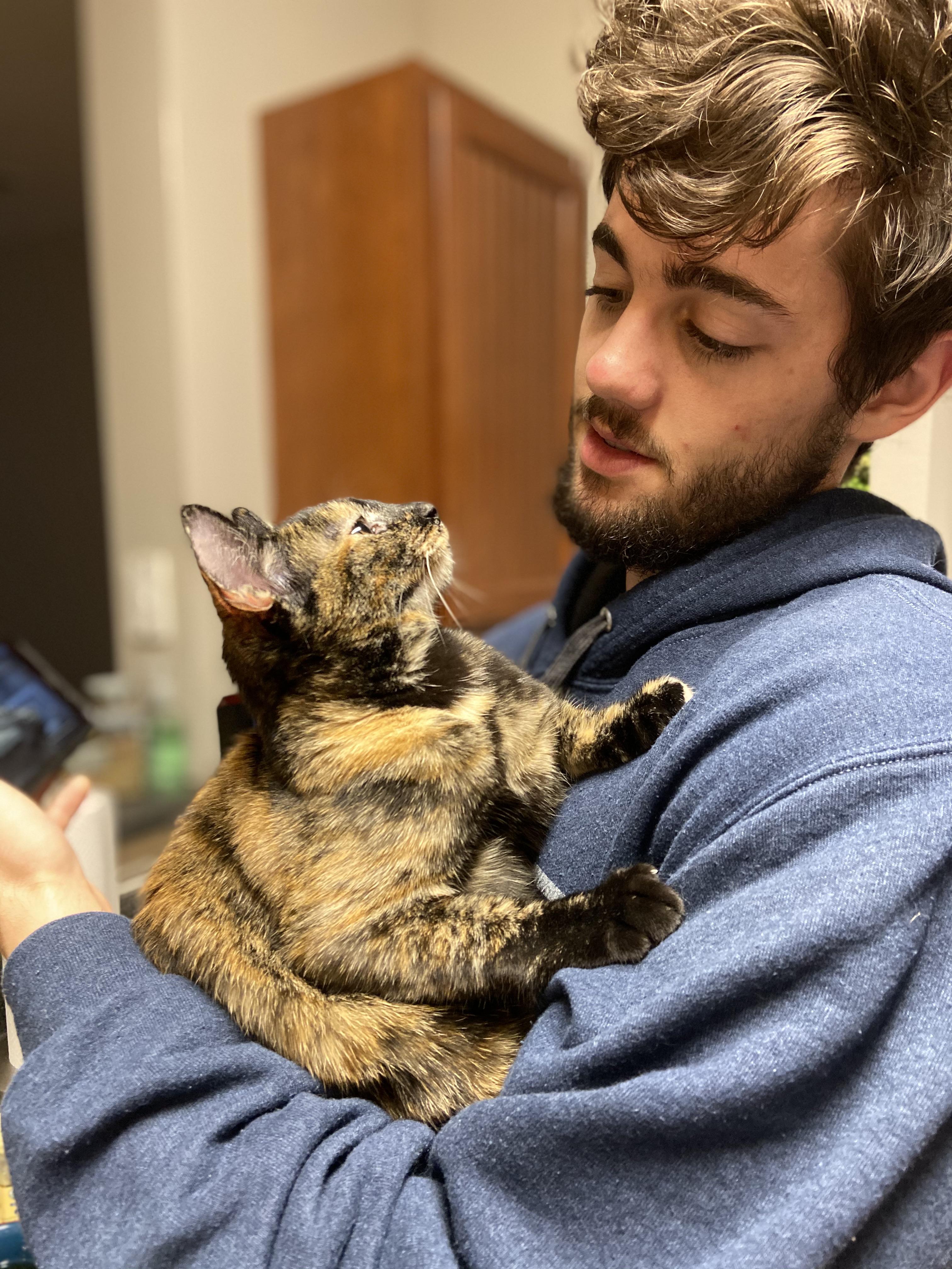 Someone is still learning how to snuggle...😂 r/torties