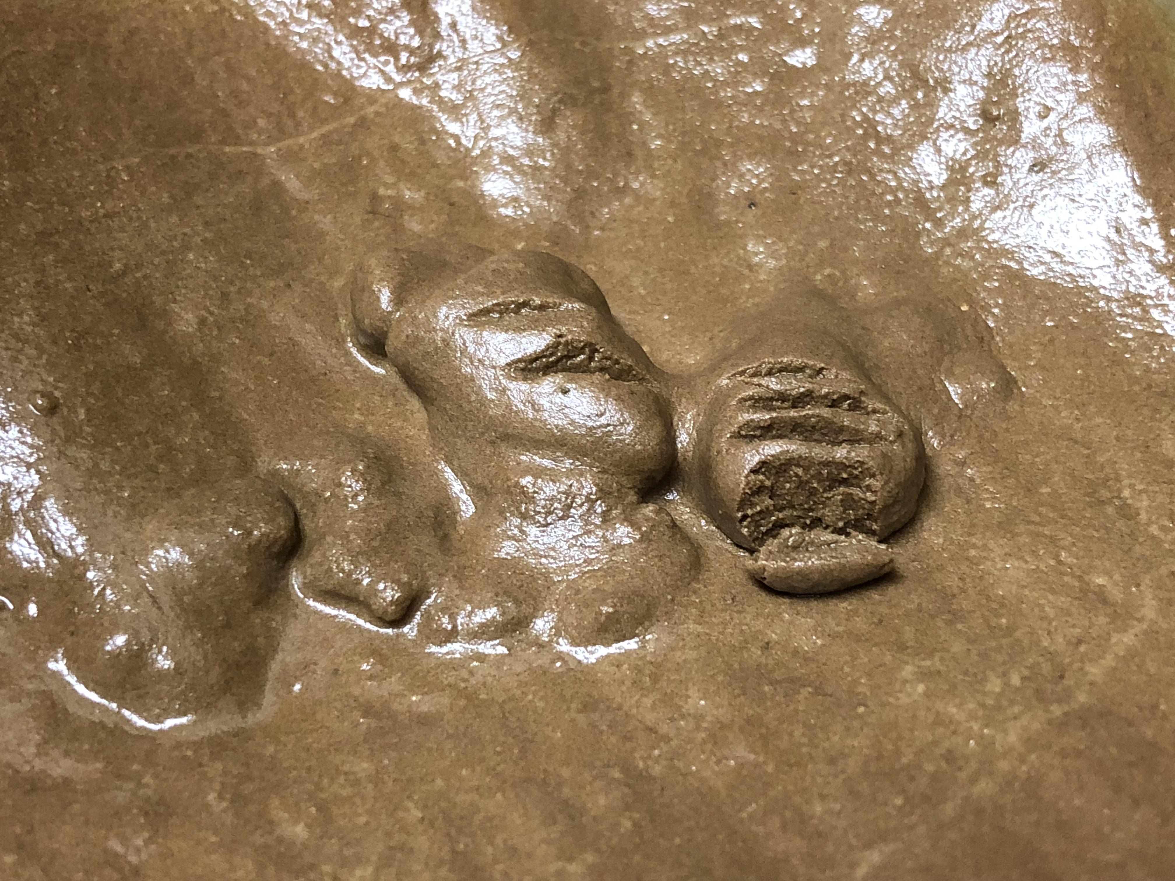 25 Micron Bubble Hash r/microgrowery