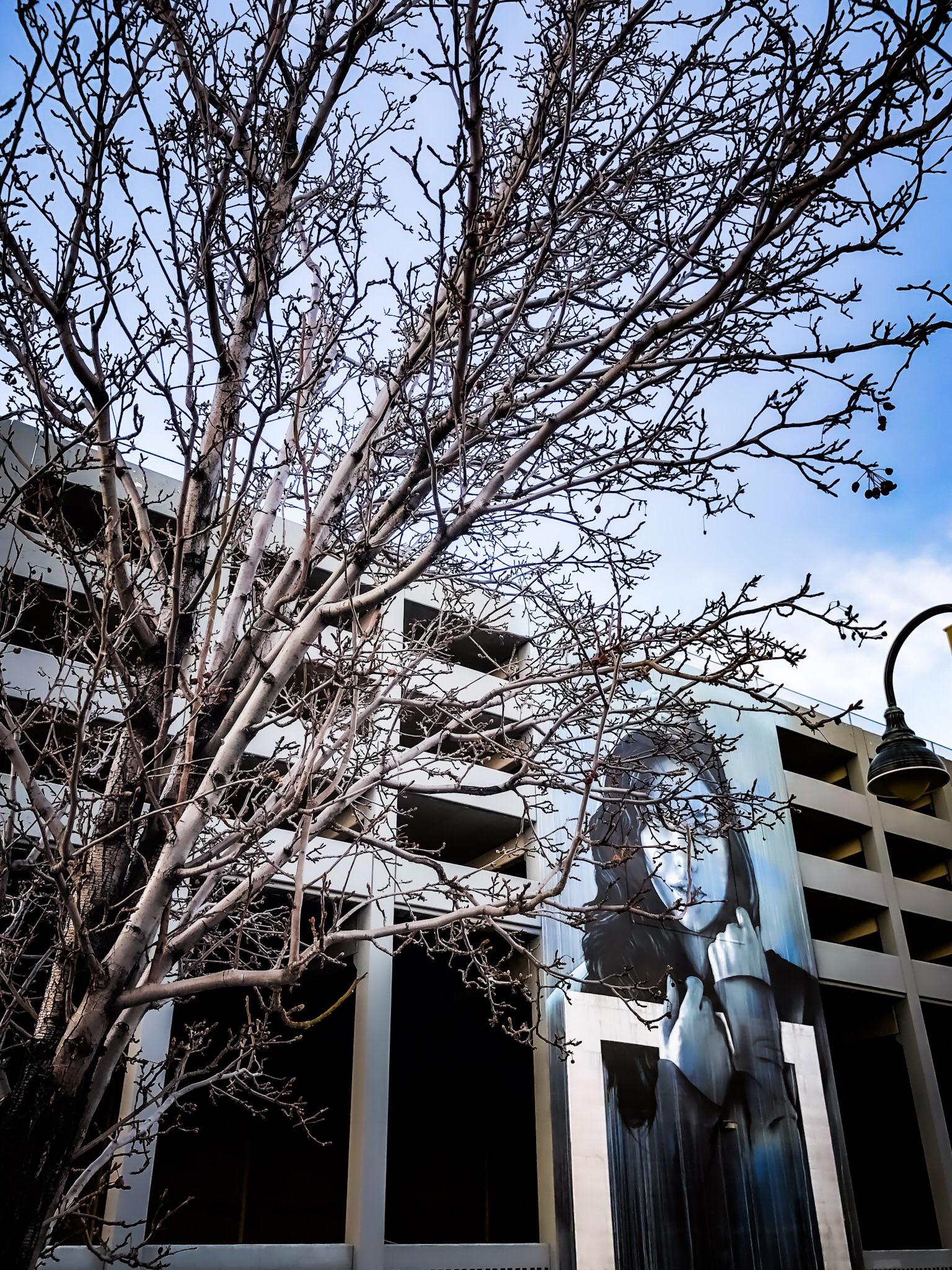 One of my takes on the most photographed mural in town r/Reno