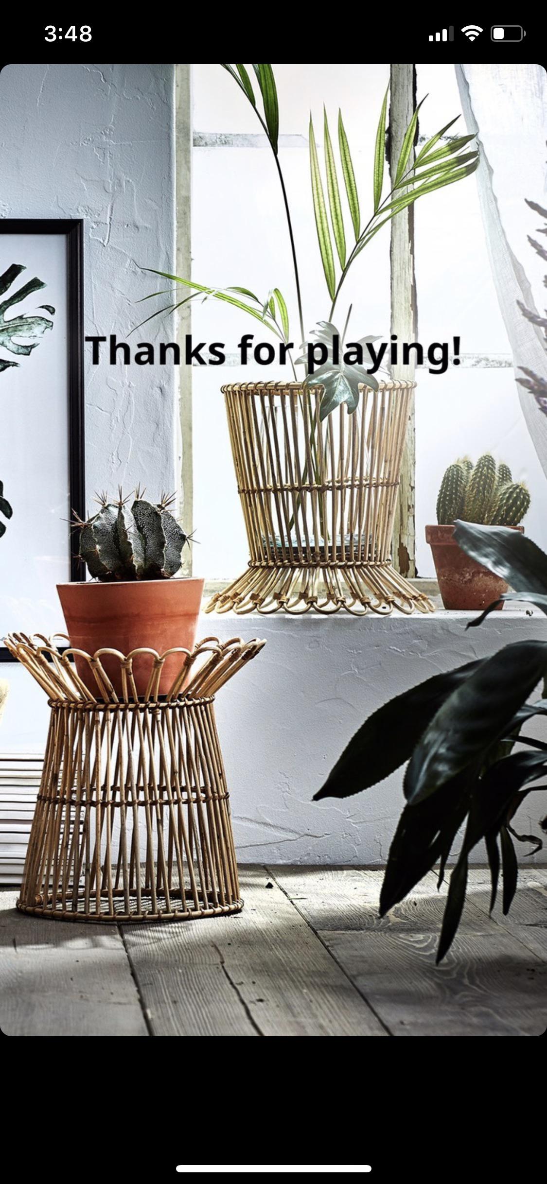 Does anyone know the name of the wicker plant stand pictured here? This