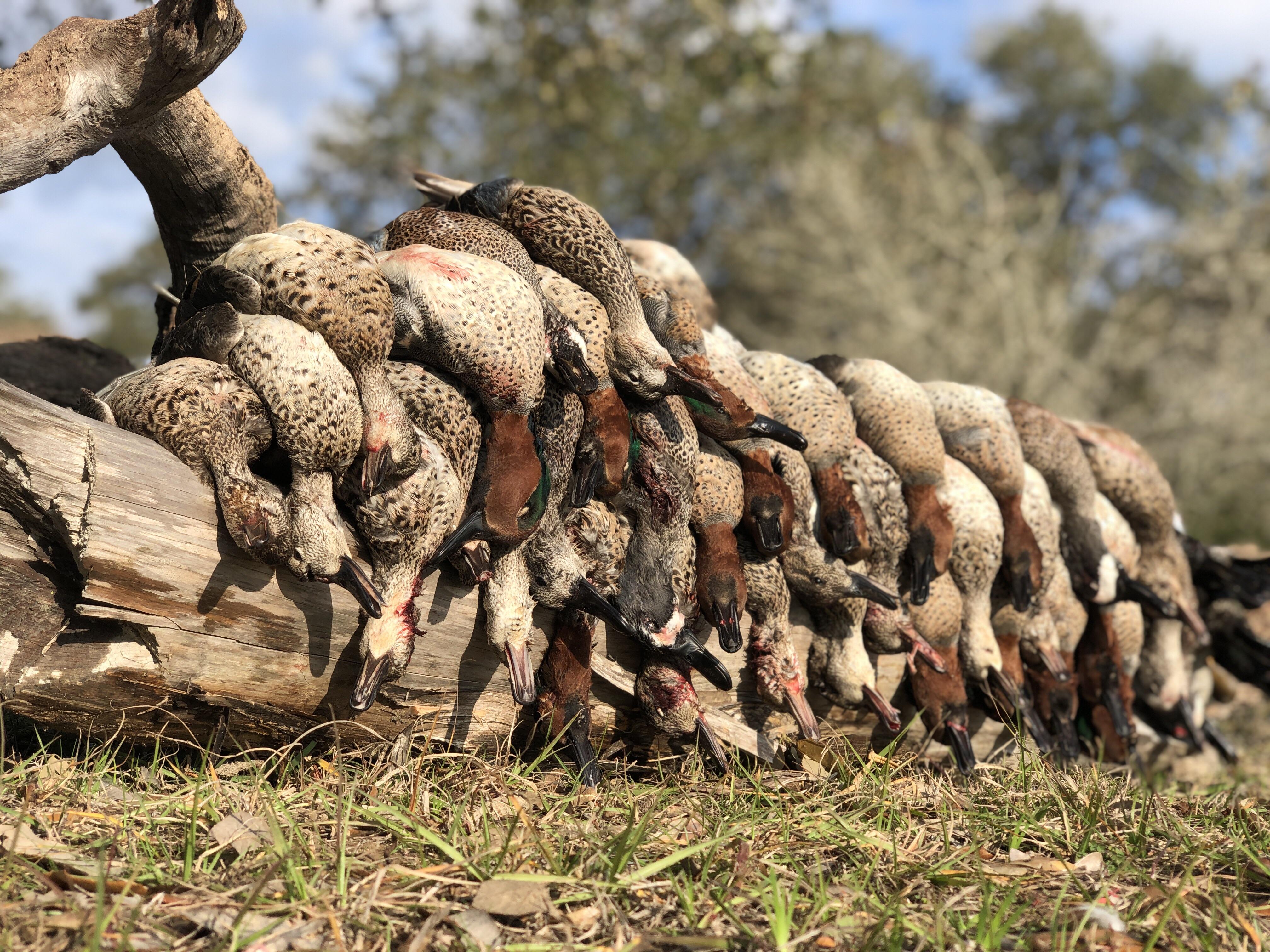The Perfect Day in Garwood, Texas r/Waterfowl