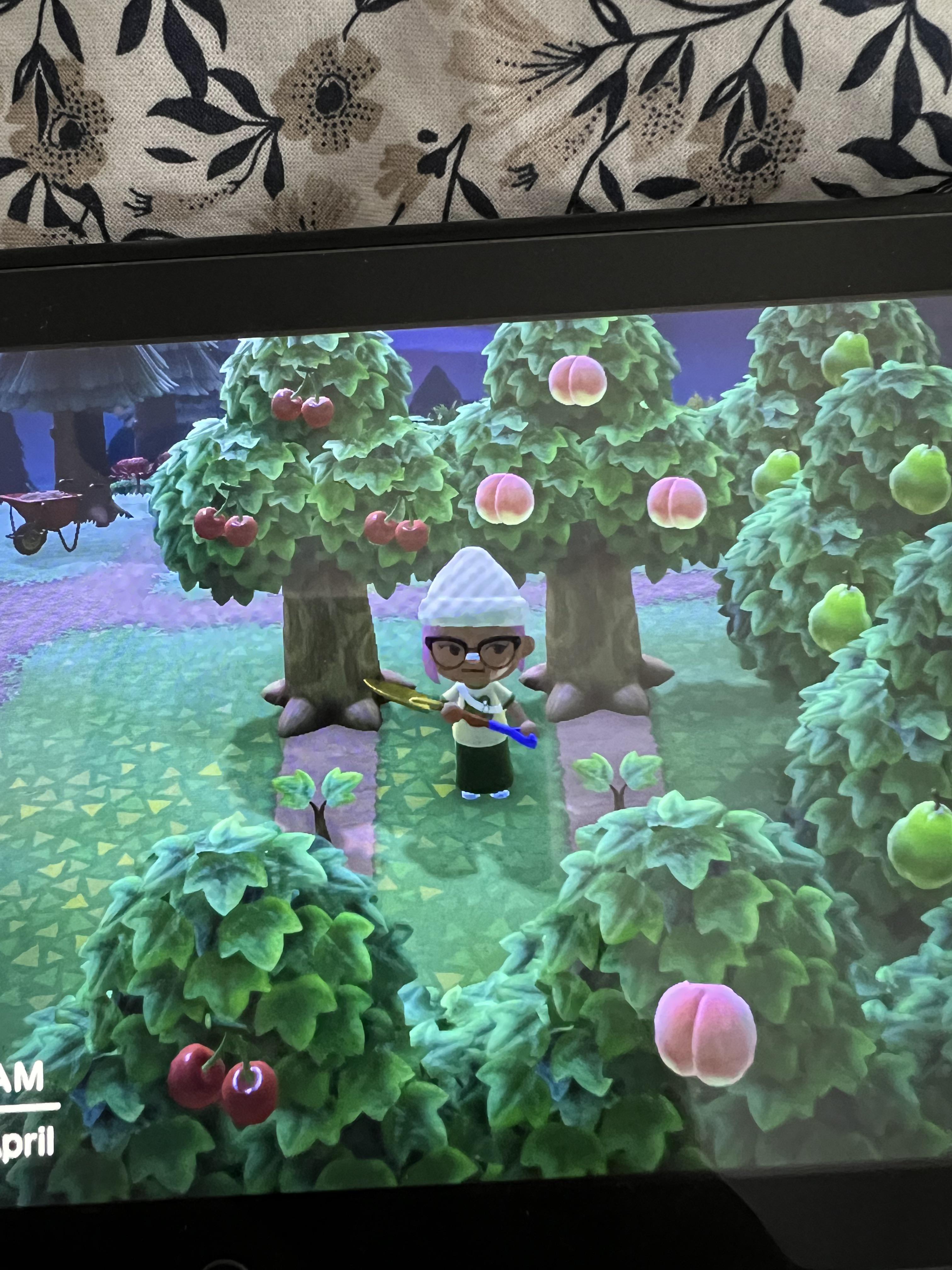 Hey, does anyone know why these trees won’t grow? 🤔 r/acnh