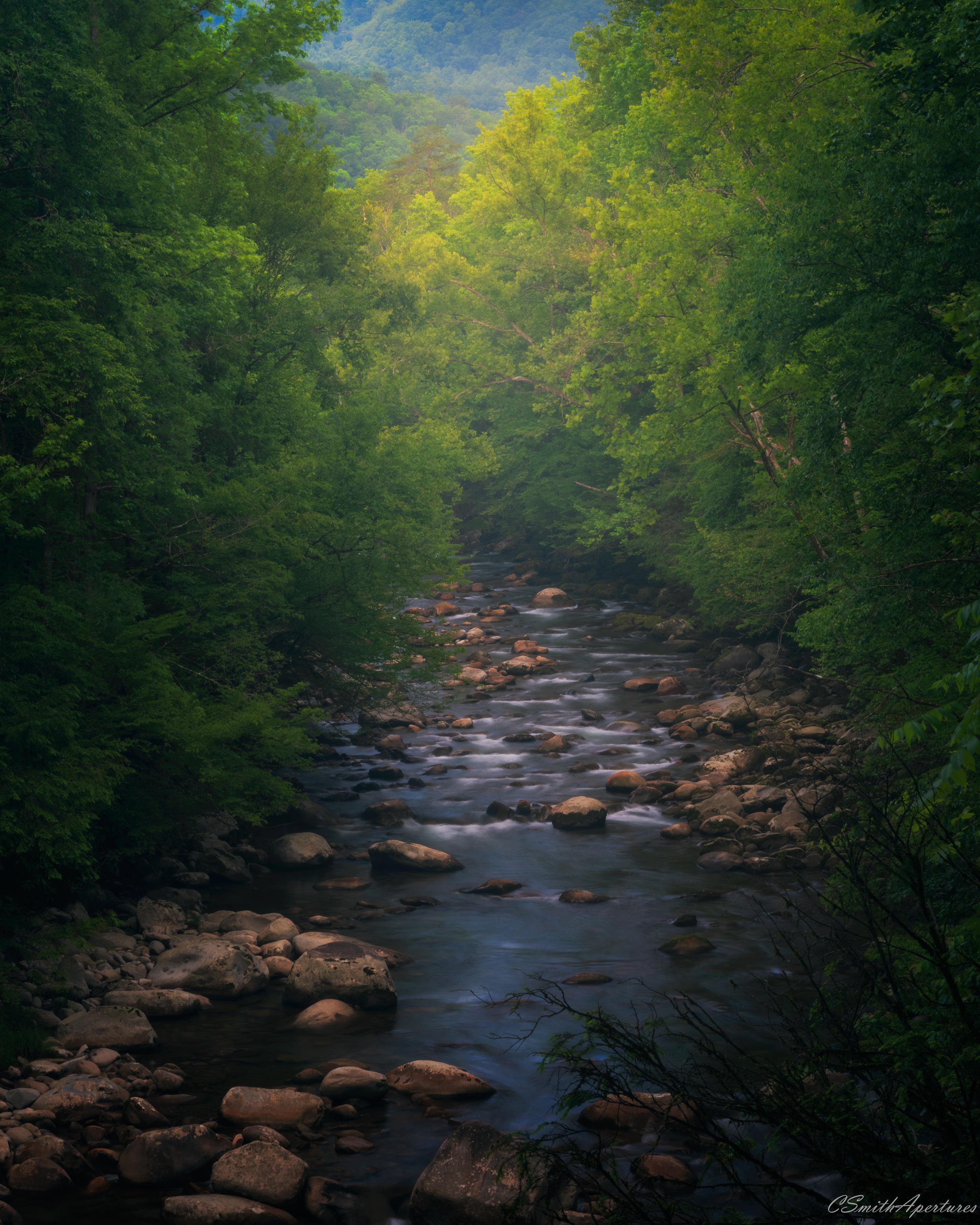 Golden Hour in Greenbrier Great Smoky Mountains National Park [OC