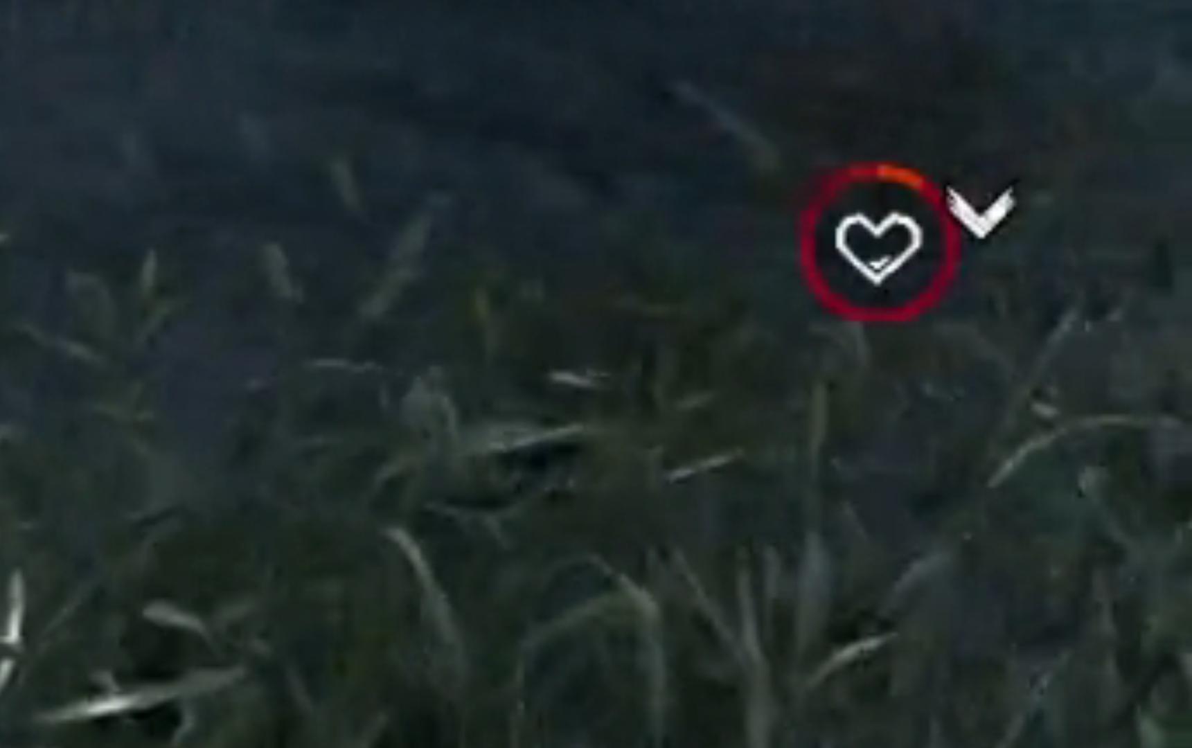 512 best Exhaustion images on Pholder Dndmemes, Deadbydaylight and