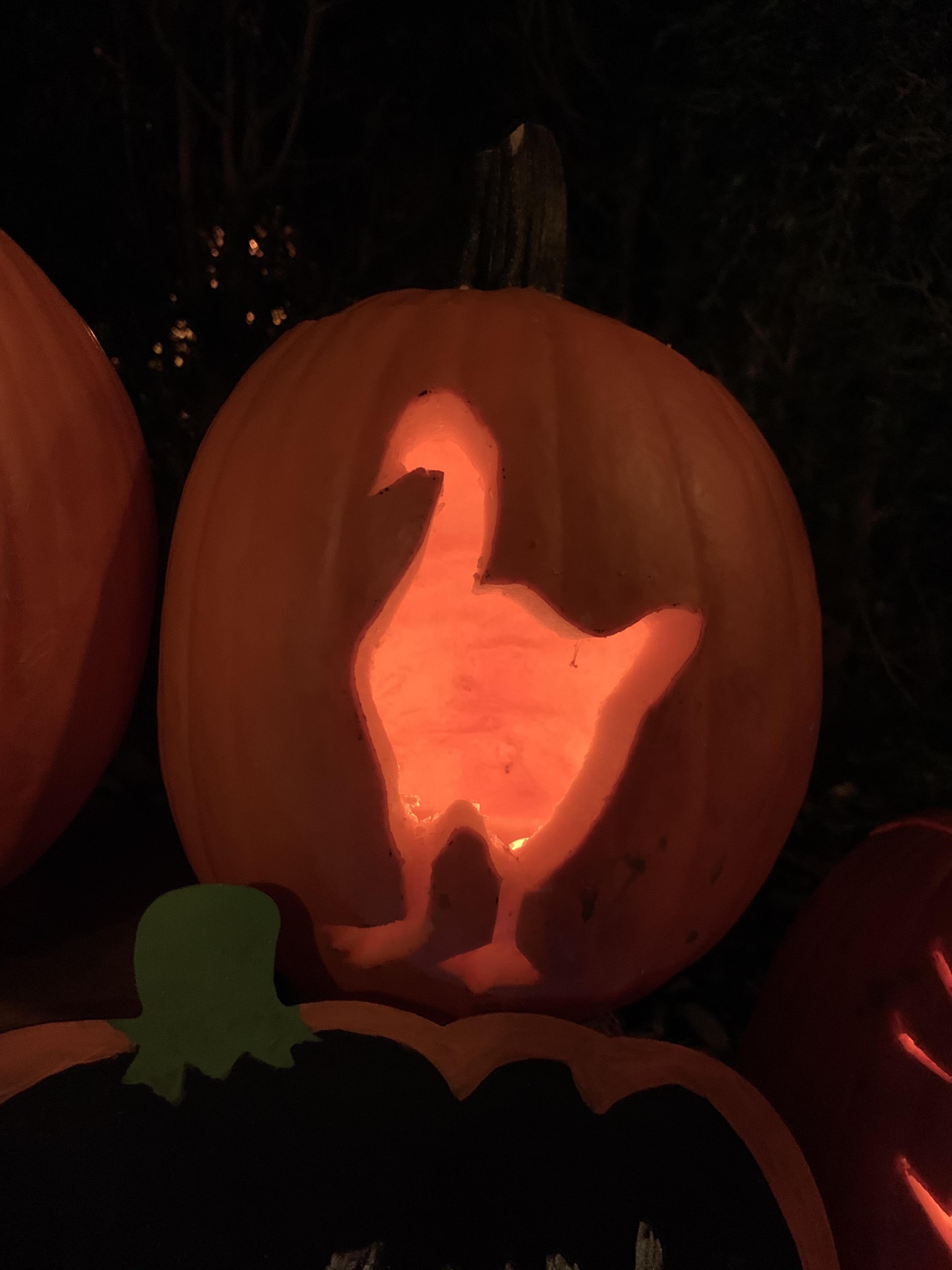Untitled Goose Pumpkin r/untitledgoosegame