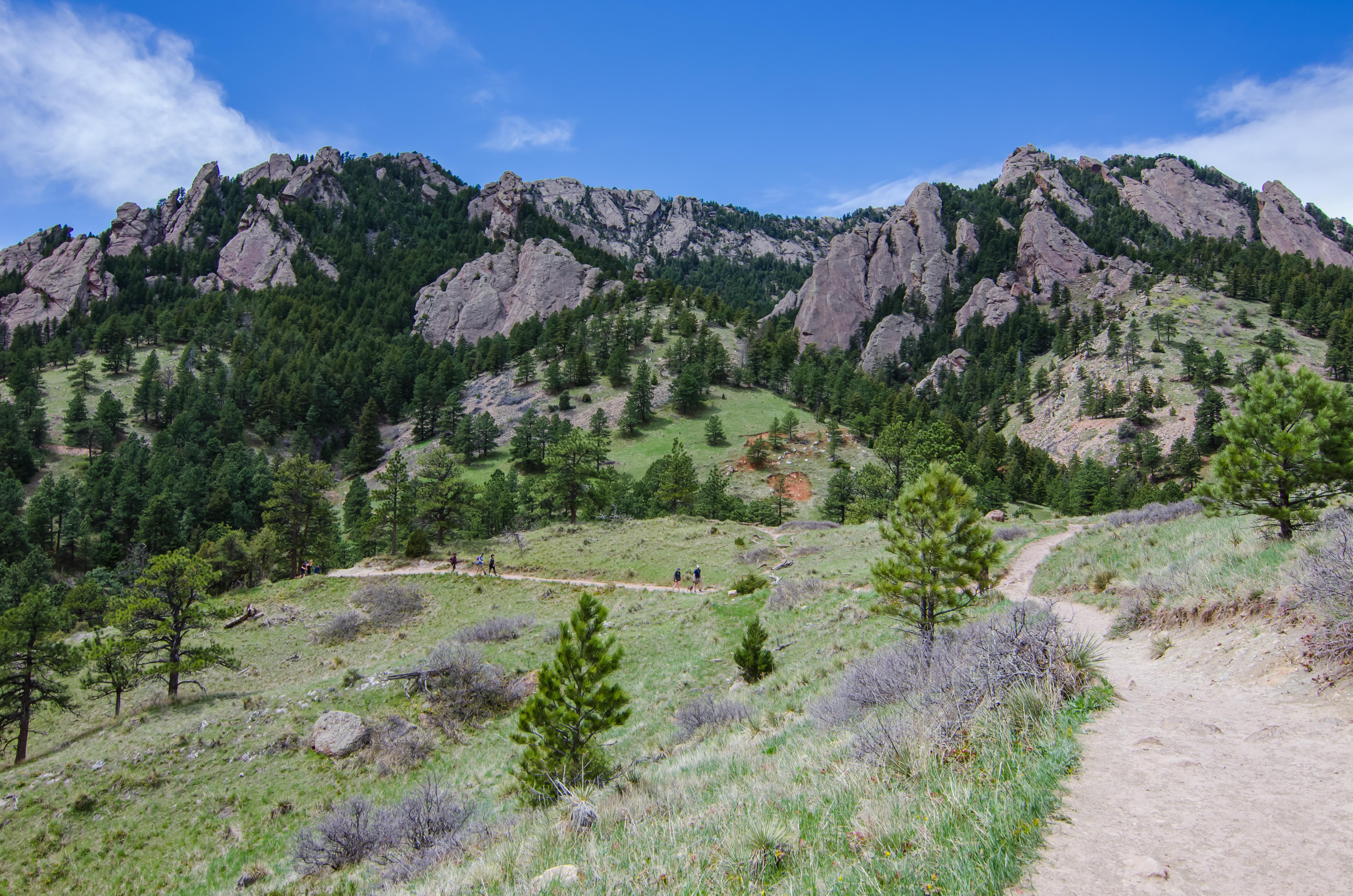 "The Road That They Walk on is Paved in Gold..." Bear Peak, Rocky