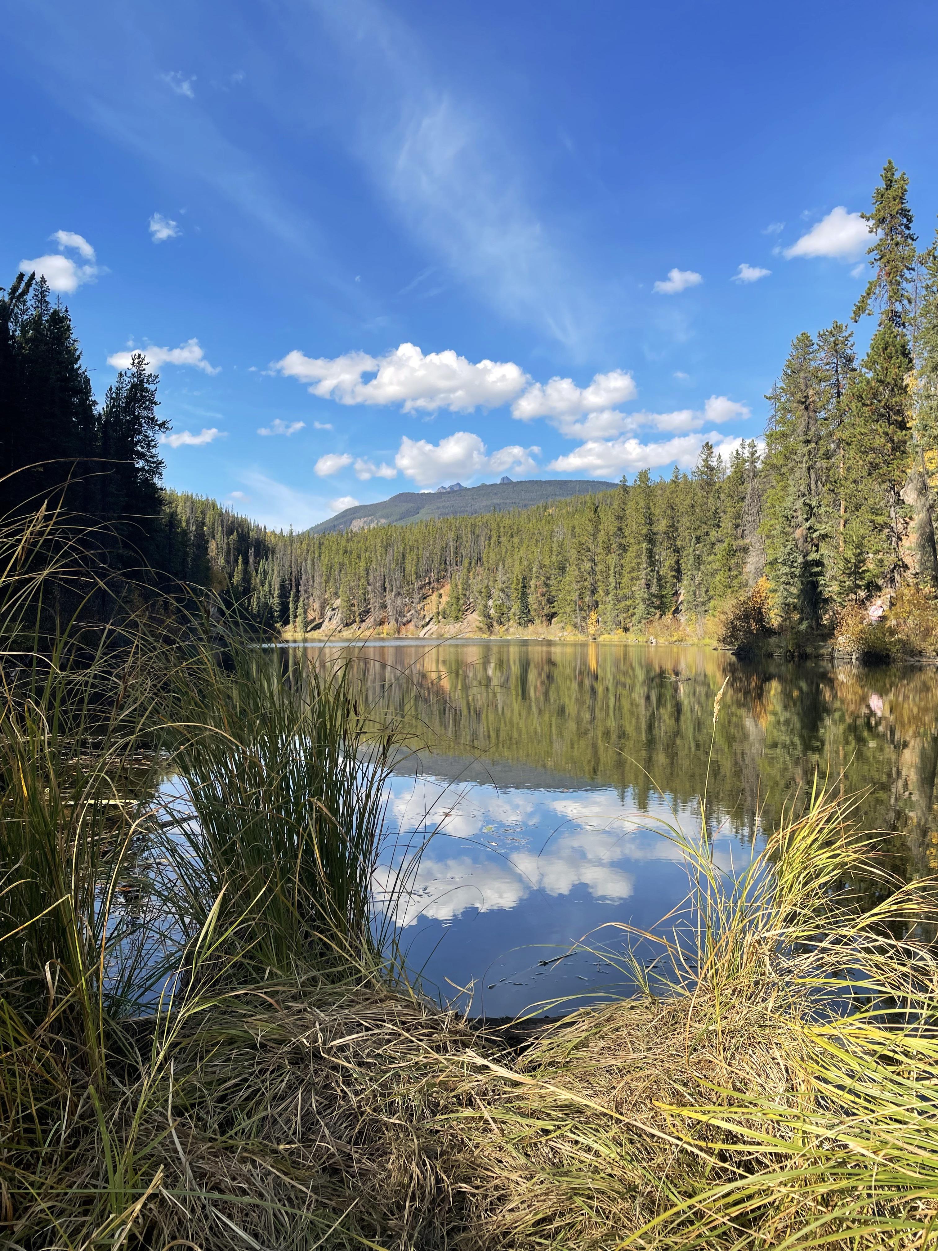 Viewpoint of Yellowhead Lake, Mt Robson Provincial Park r/britishcolumbia