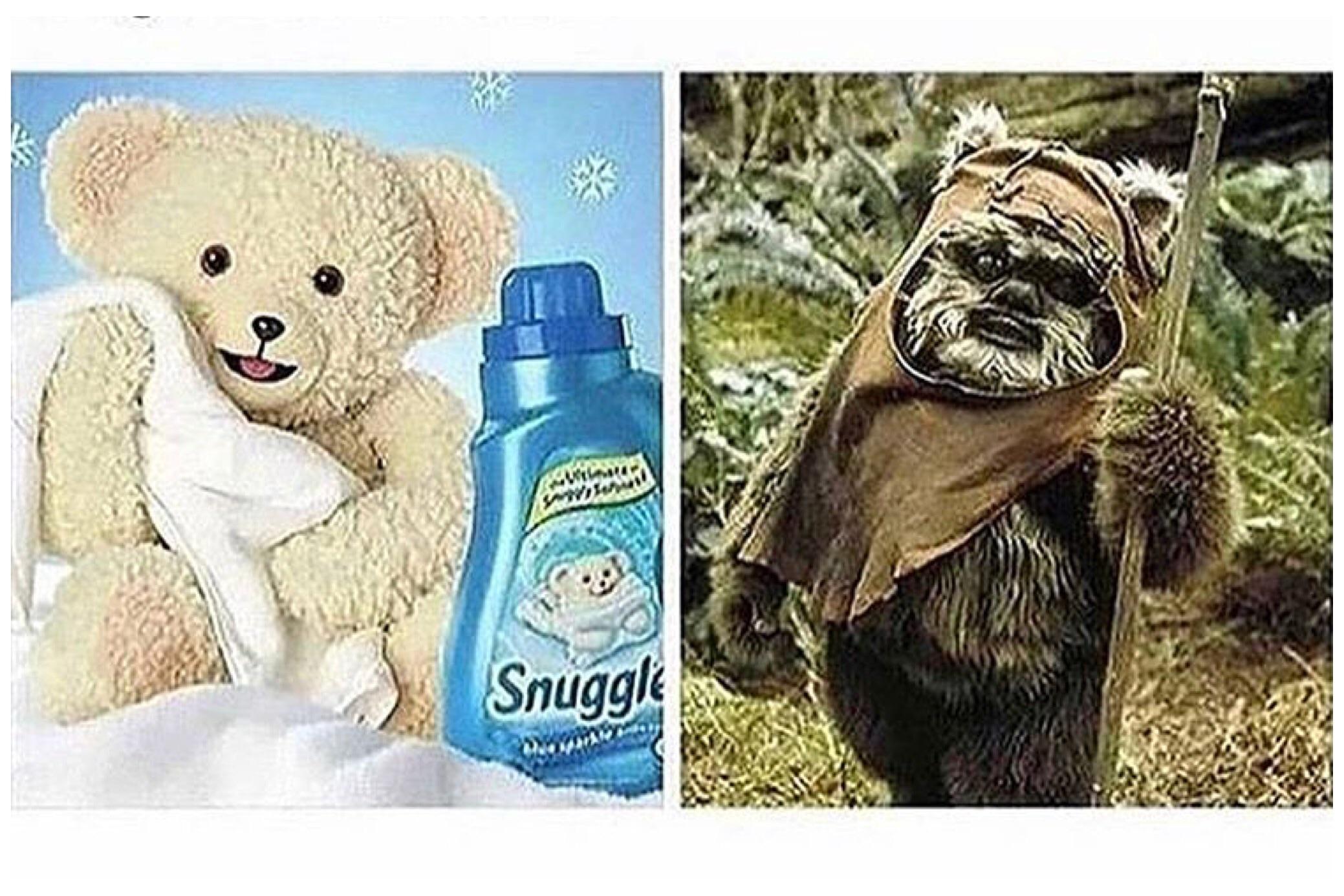 Another young actor’s life destroyed by drugs and alcohol. r/funny