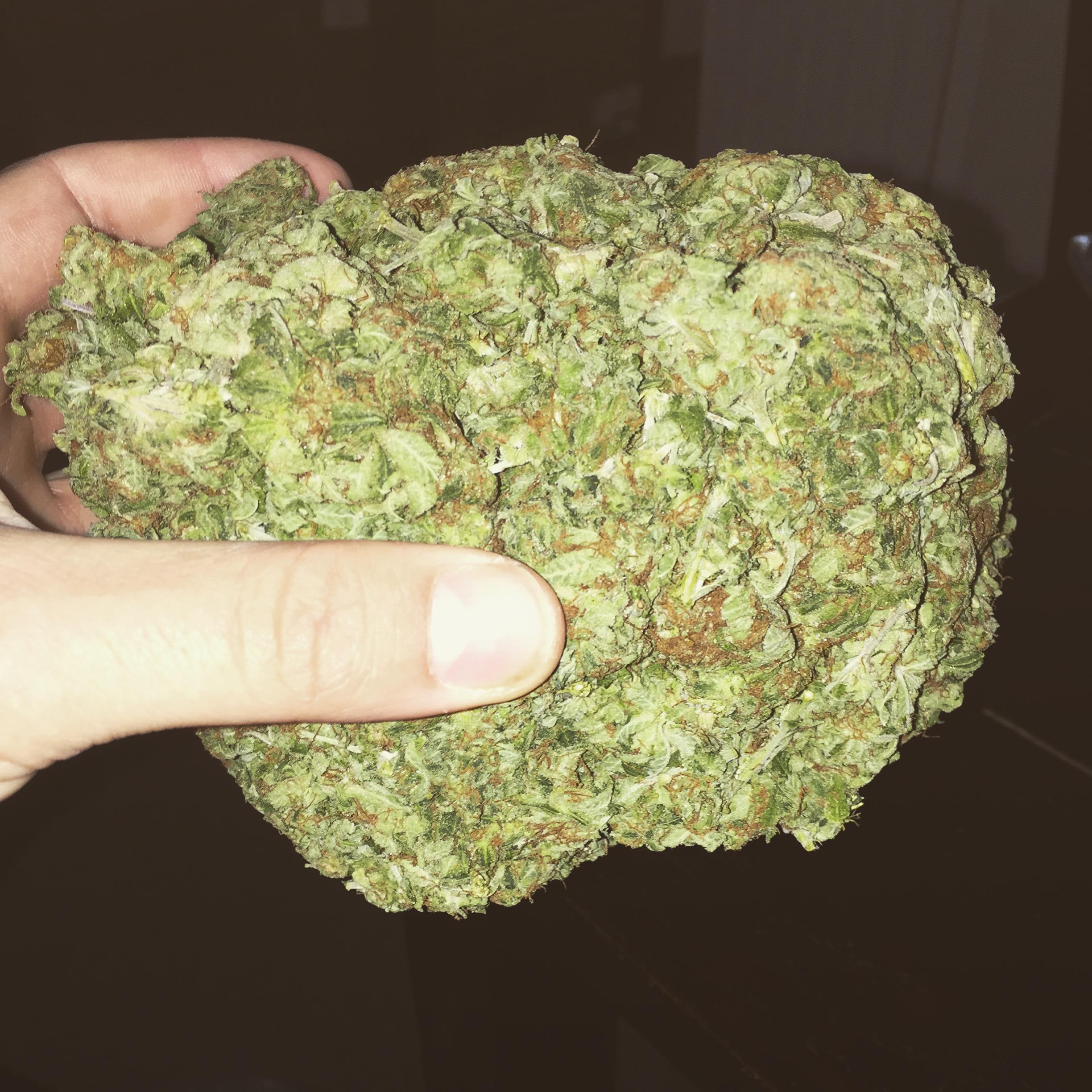 When you go shopping and accidentally grab that brick weed 🤣🤣🤣 r/trees