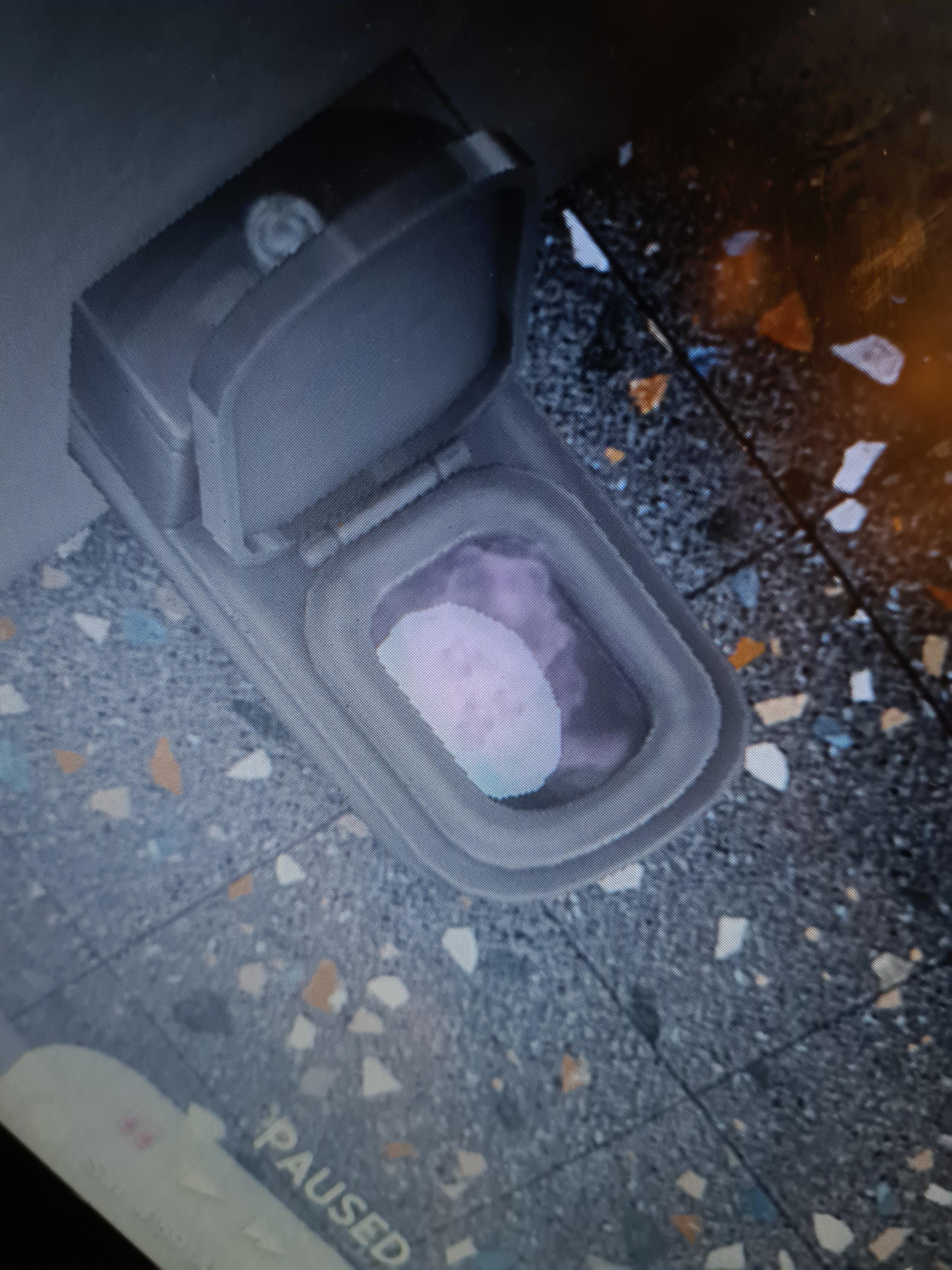 My toilet is bubbling purple stuff??? r/Sims4