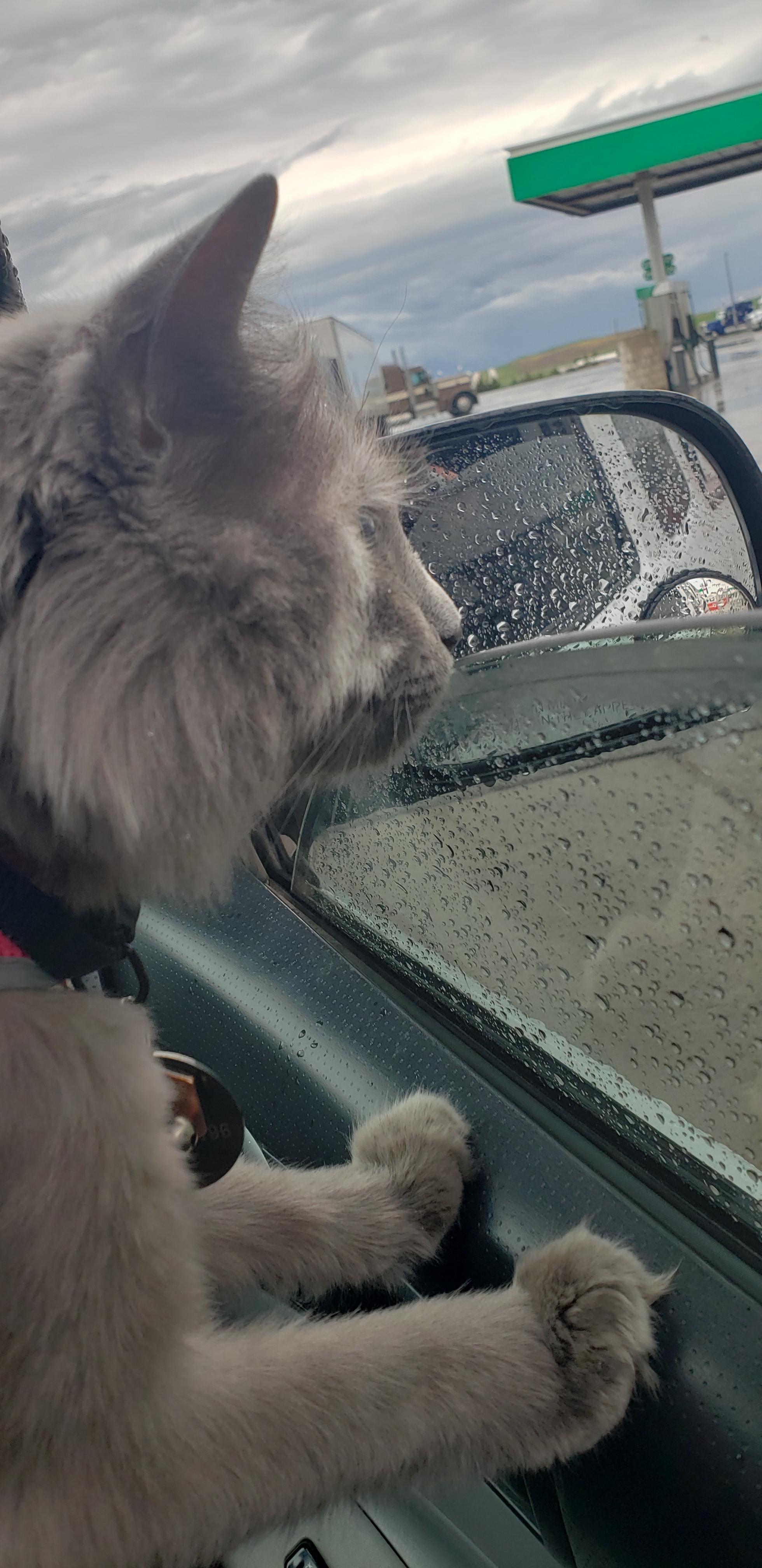 its too wet outside Wellthatsucks