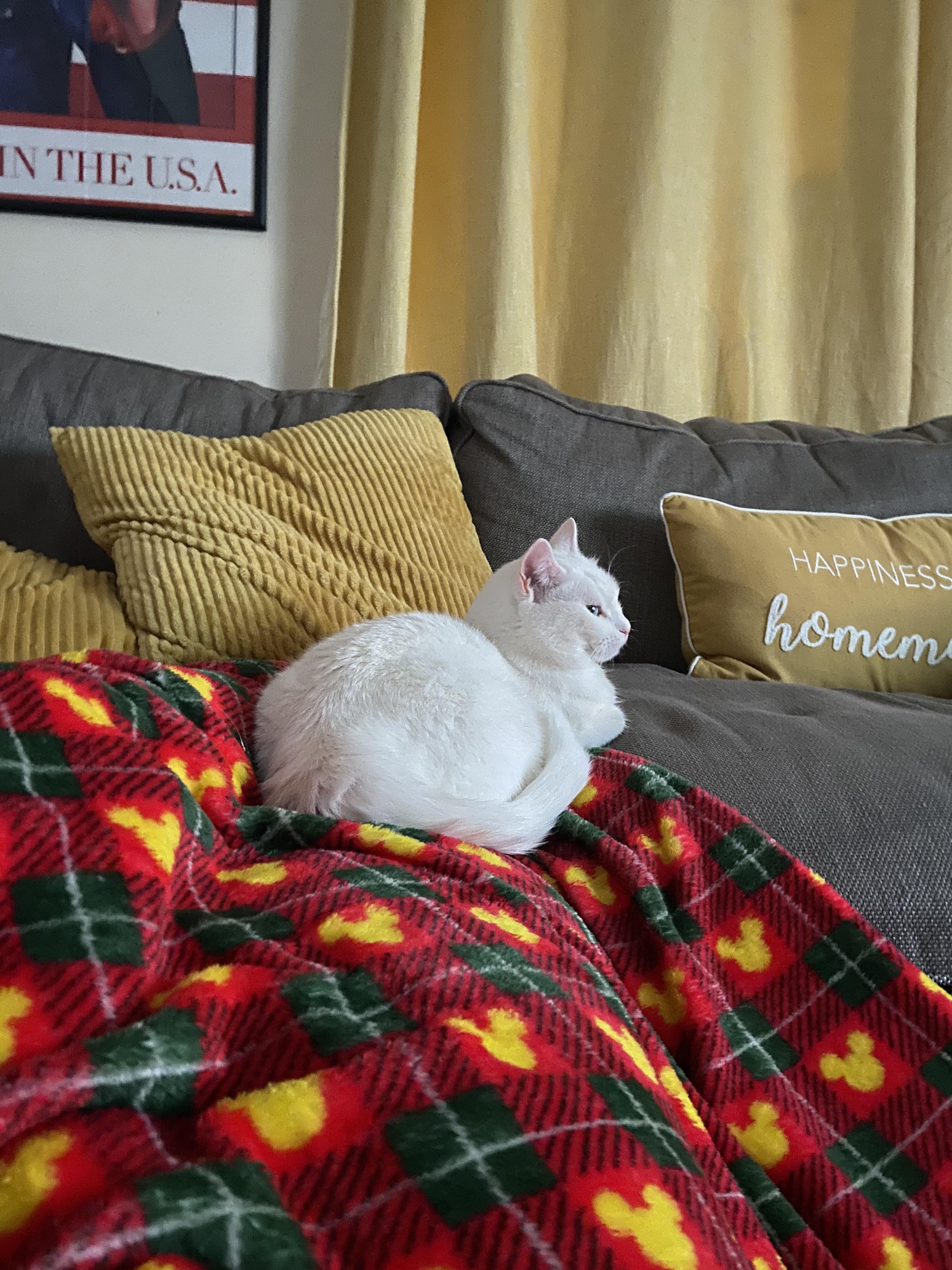 Got this massive fluffy Disney blanket from Asda the other day! Very