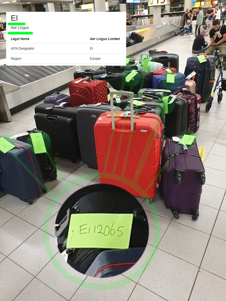 Aer Lingus Baggage