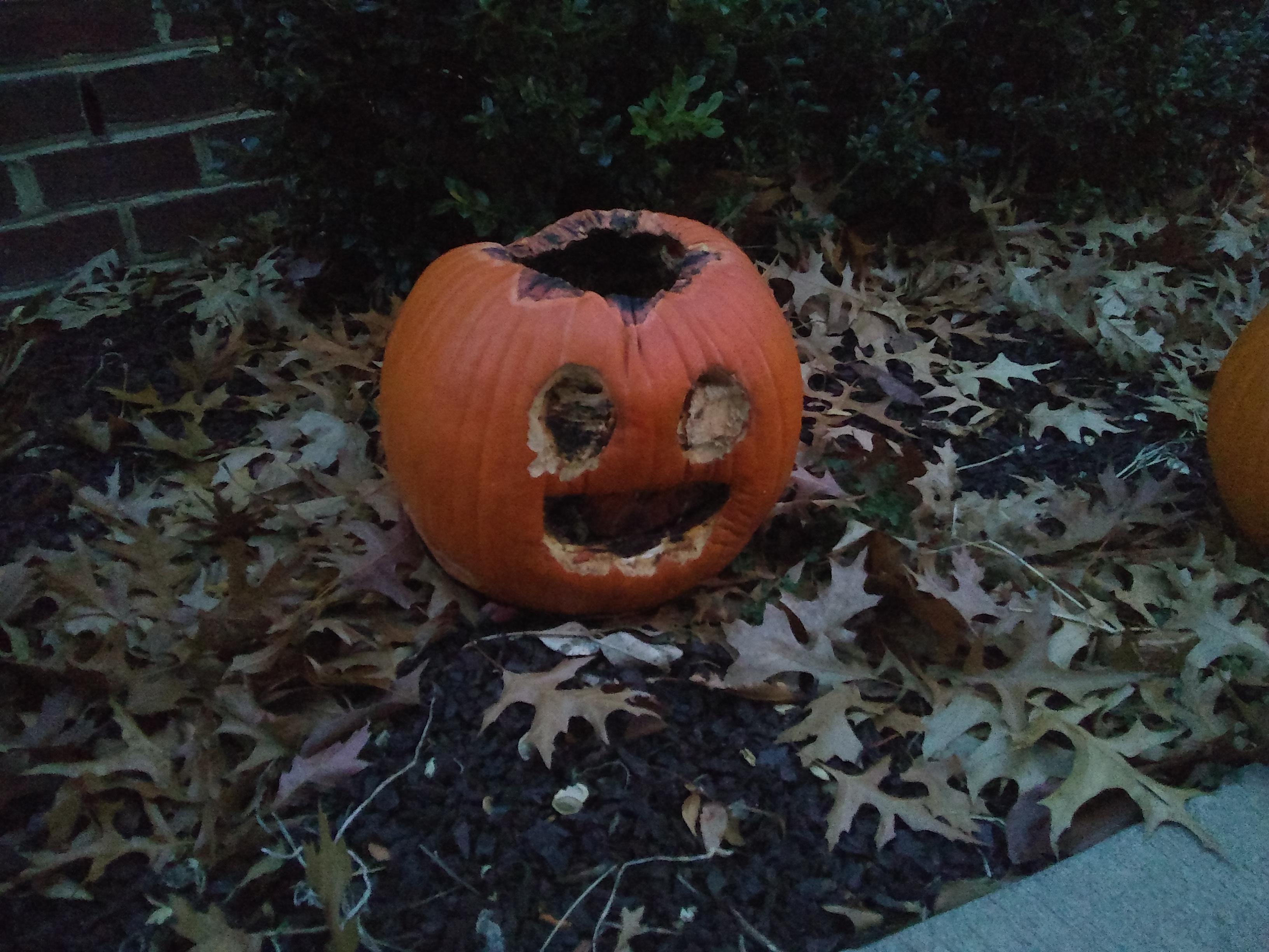 My pumpkin of pumpkin is dying 😭😢 r/stevenuniverse