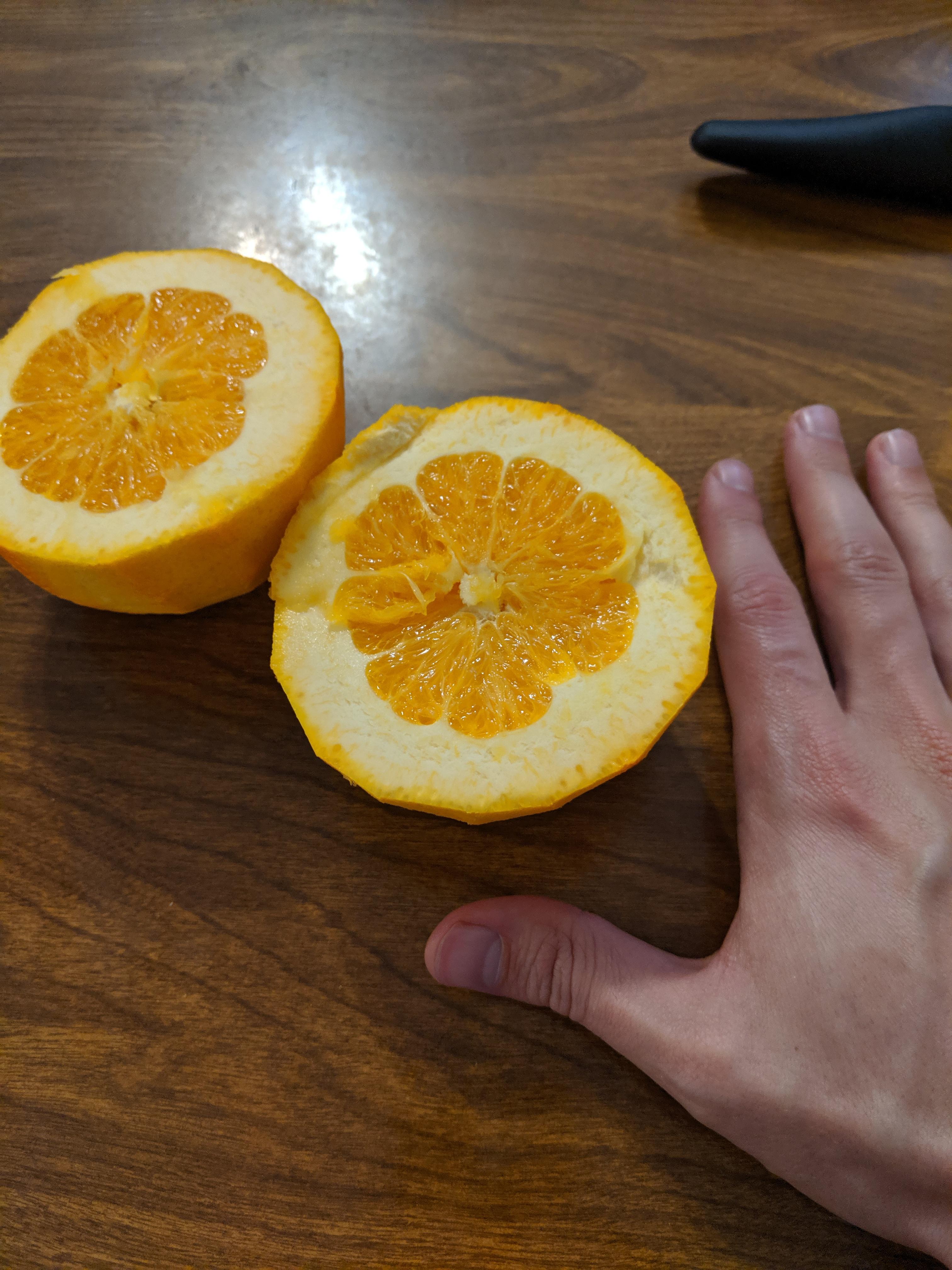 This orange I bought today has an extra thick peel. r/mildlyinteresting