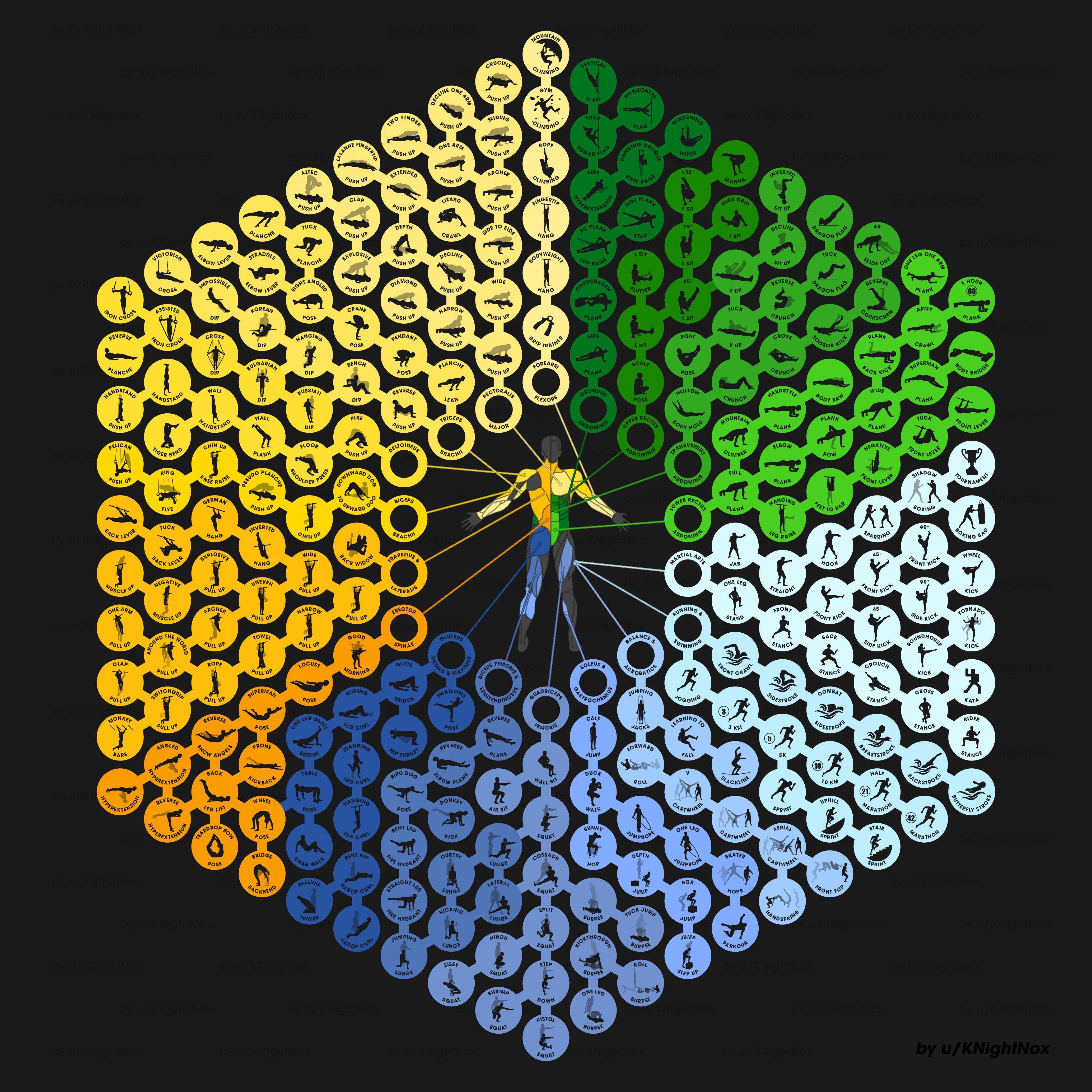 Bodyweight exercises progression chart by u/KNightNox : r/coolguides