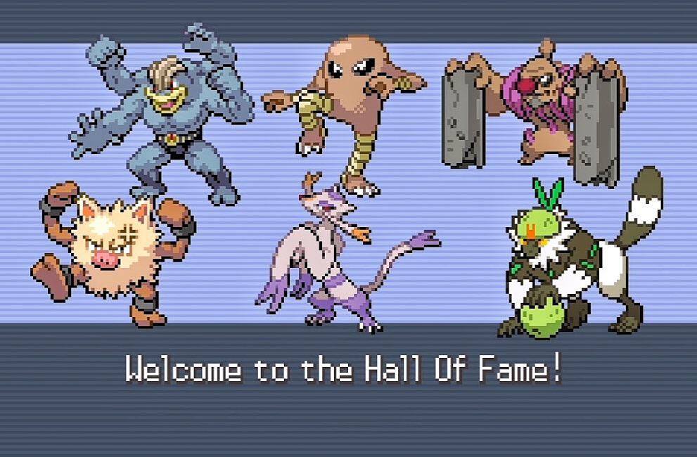 Pokémon Radical Red Fighting Monotype Team! r/PokemonHallOfFame