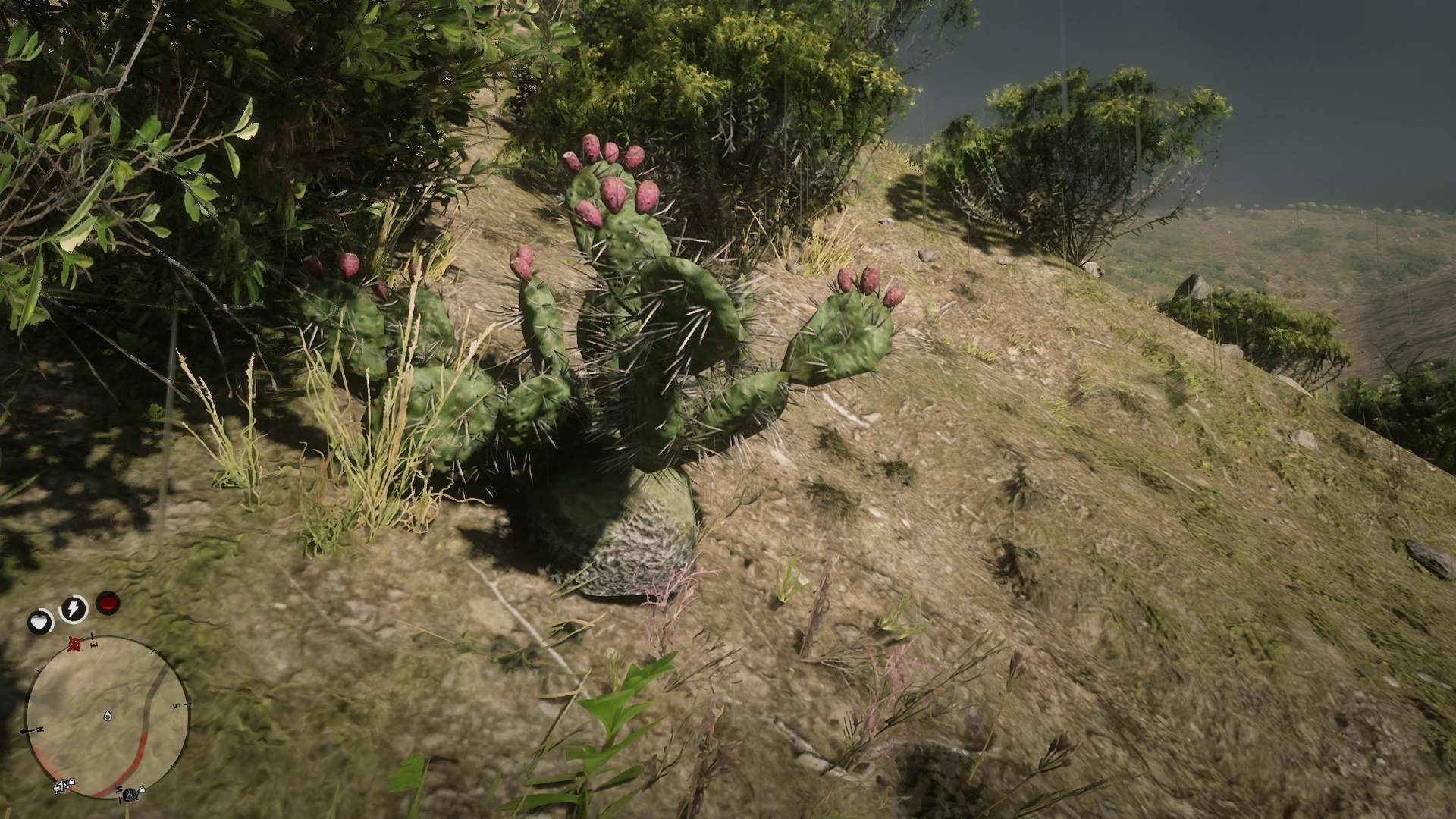 One of those small details in RDR2 that add to the overall realism