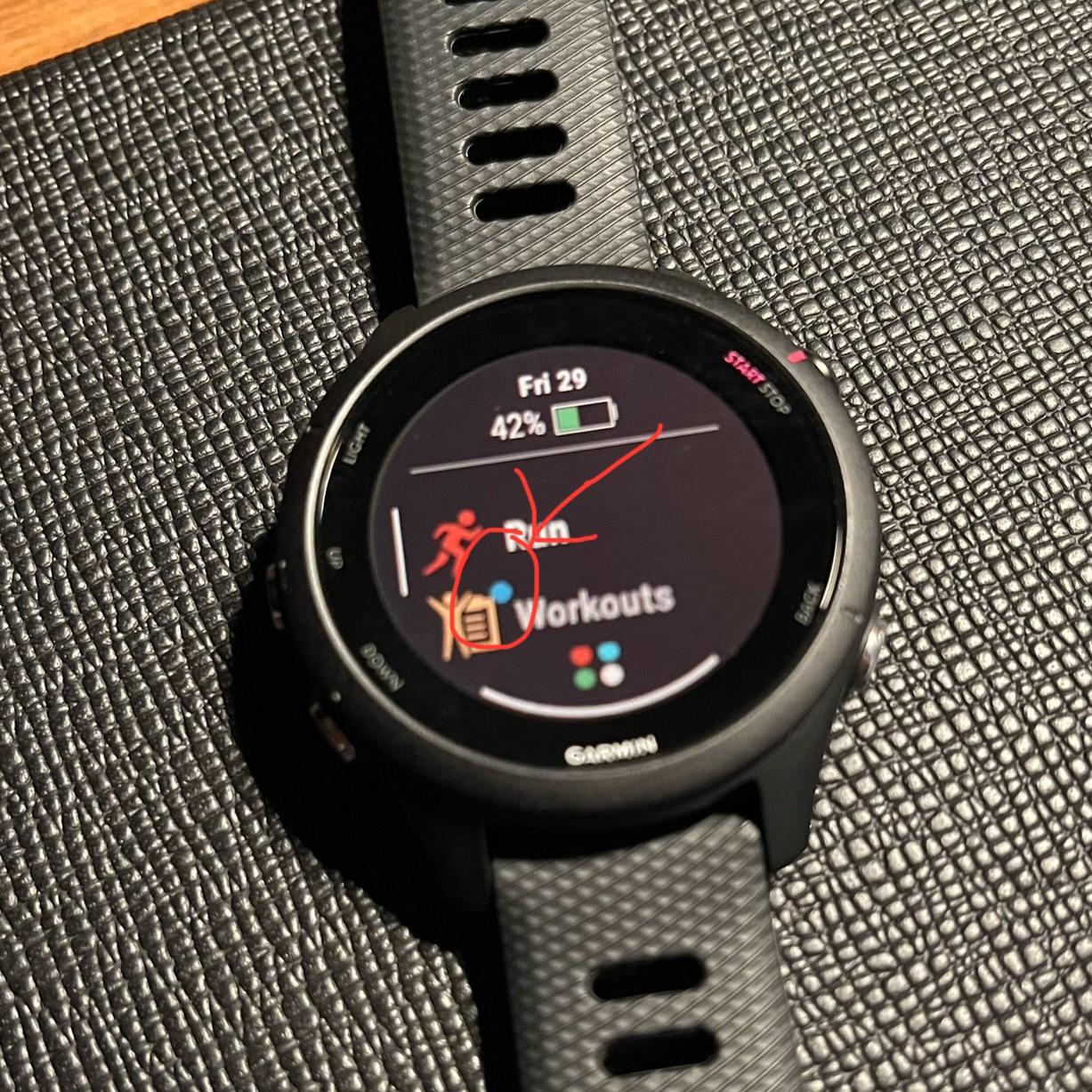 What does this blue dot mean? (Forerunner 255) r/Garmin