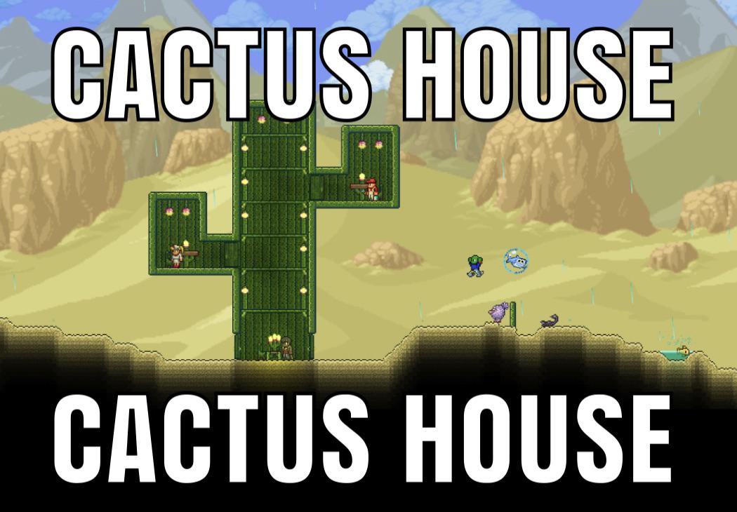CACTUS HOUSE r/Terraria