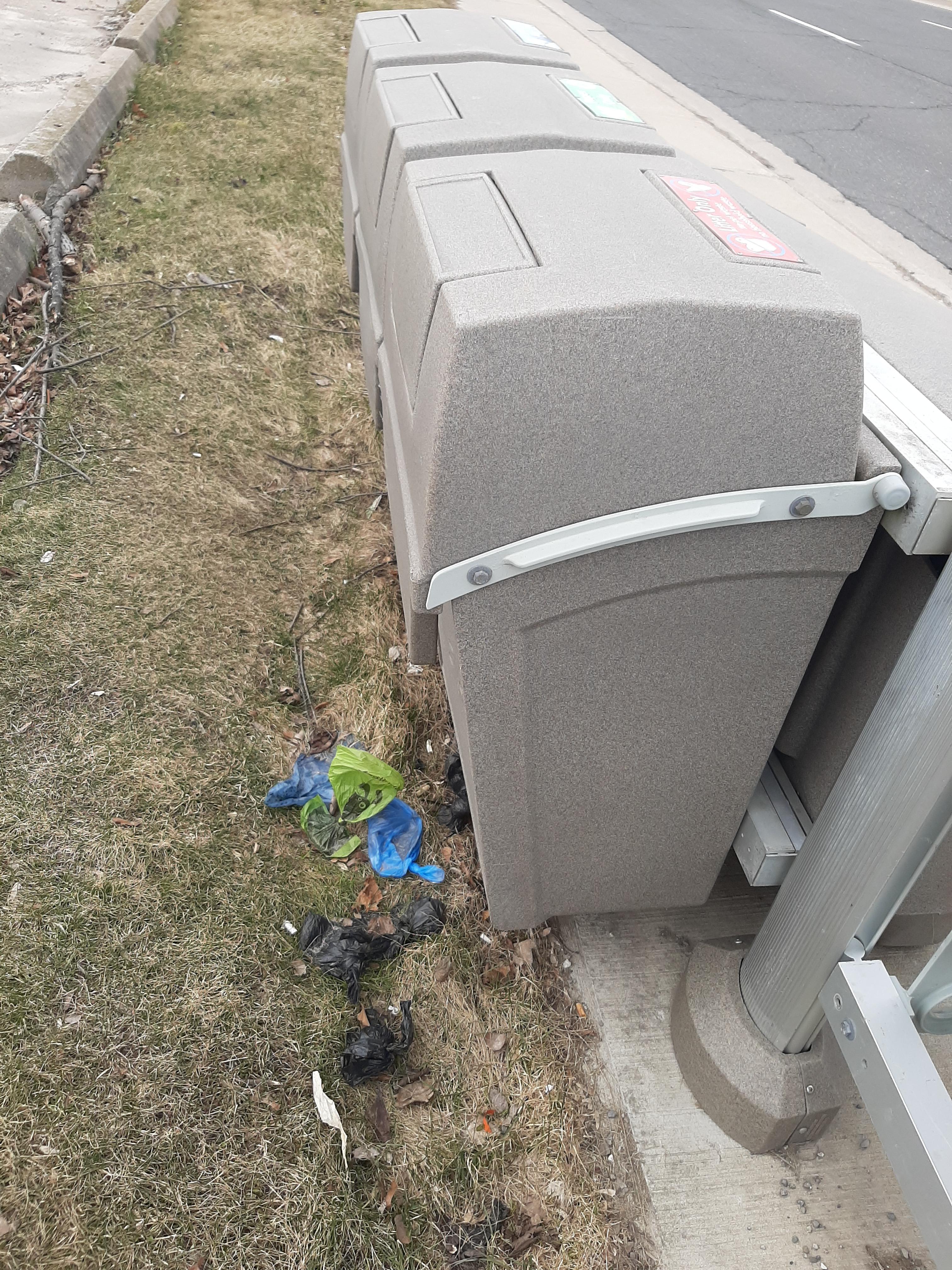 7 bags of dog dook next to a trash can. Cootes at Dundas bus stop. r