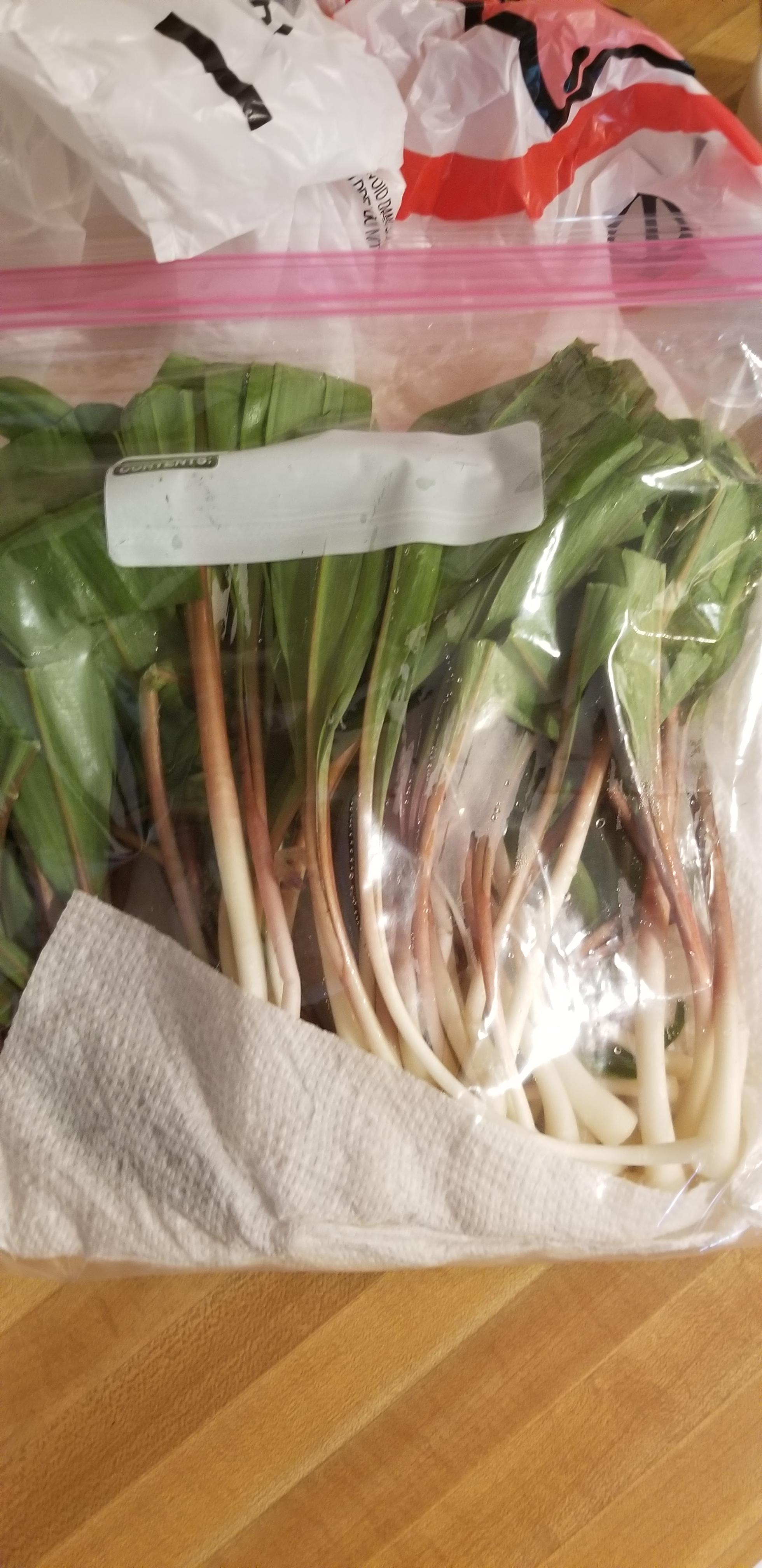 Grandparents brought me some fresh ramps. We then made some fried