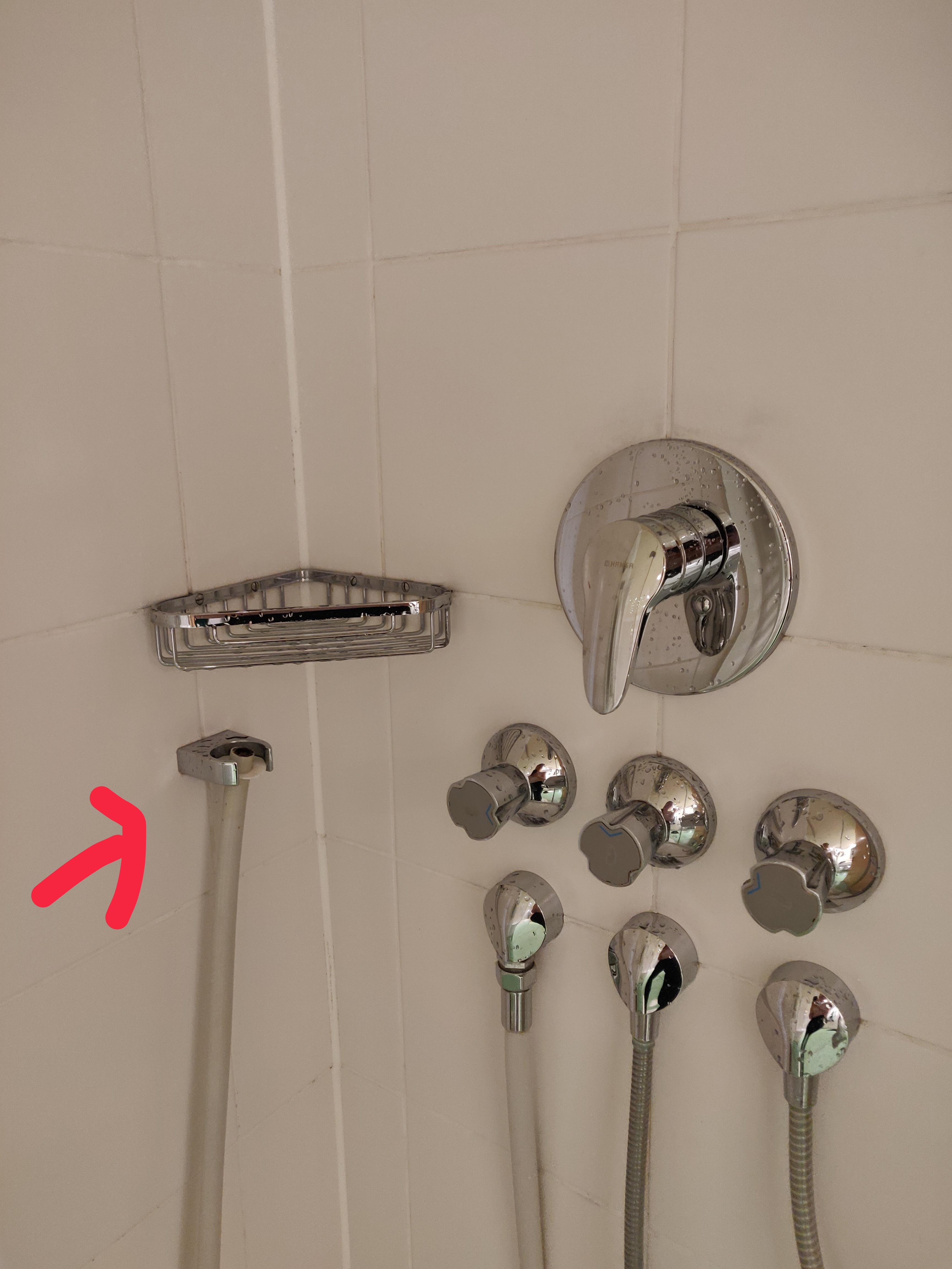 Grey hose in a hotel shower in Germany r/whatisthisthing