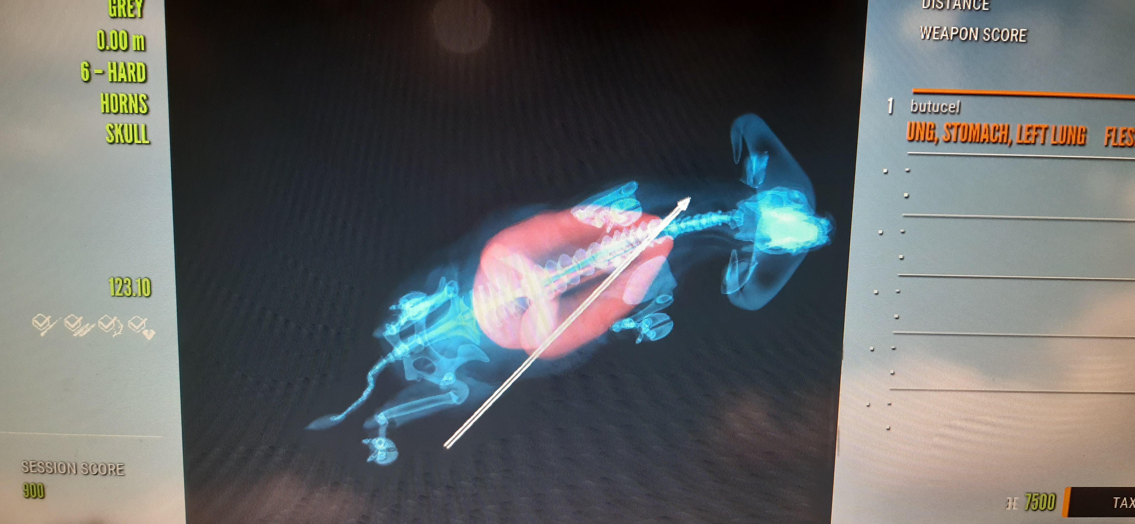 Used the King .470DB apex for the first time. What can I say? r/theHunter