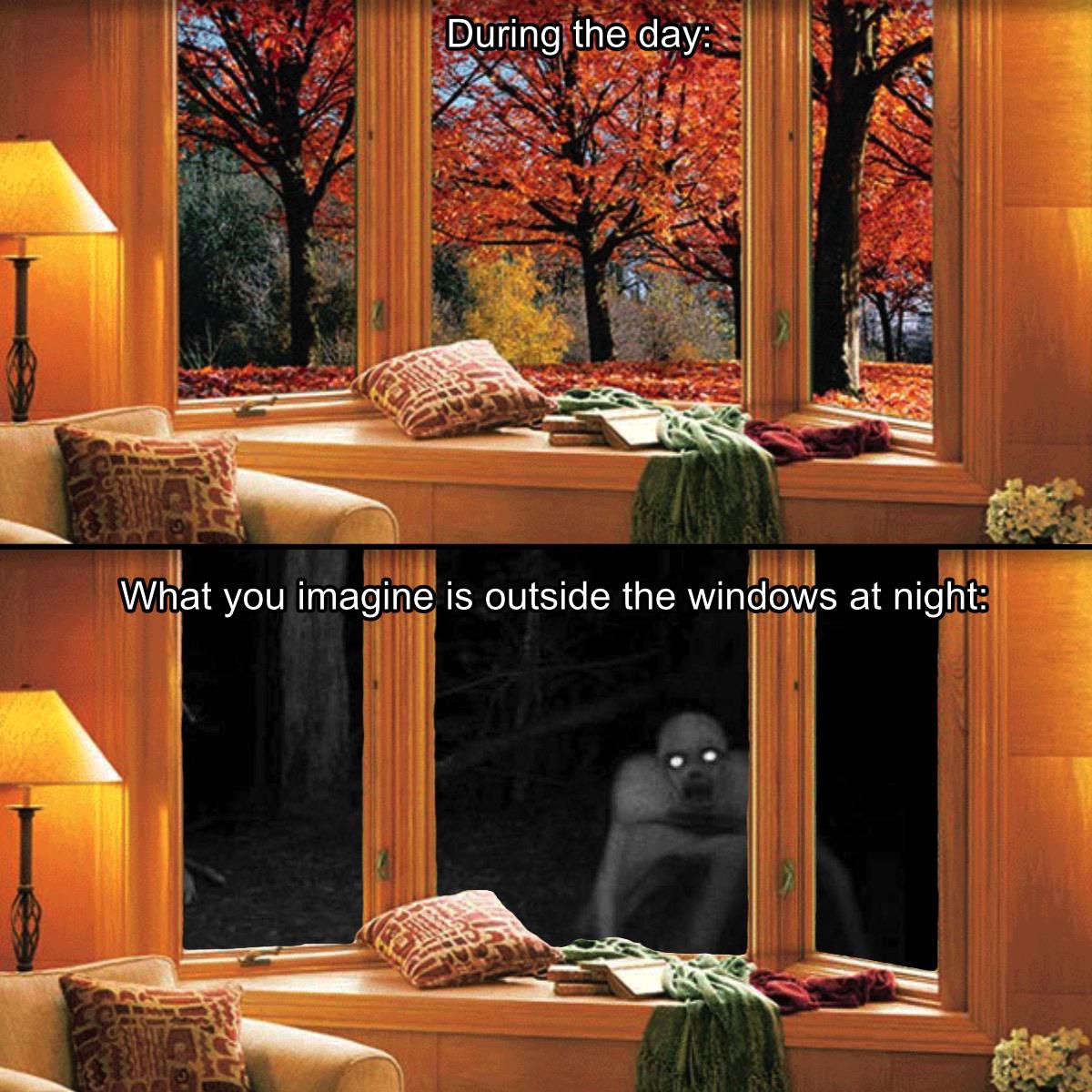 Another reason for curtains r/memes