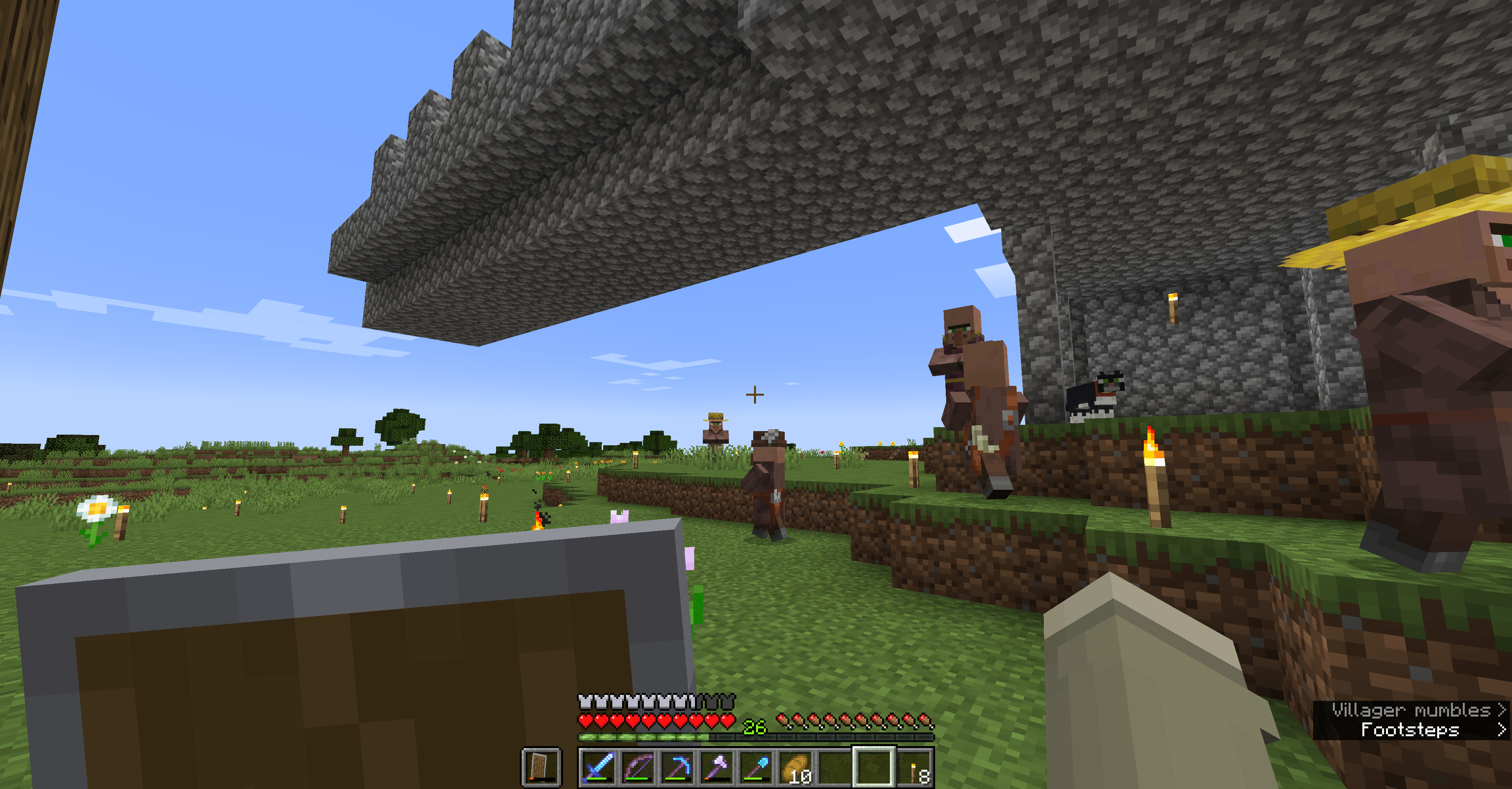 Why are my villagers going UNDER where the beds are? r/Minecraft