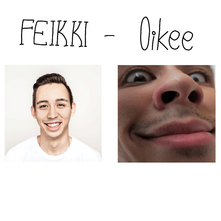 FAKE REAL r/LakkoPostaukset