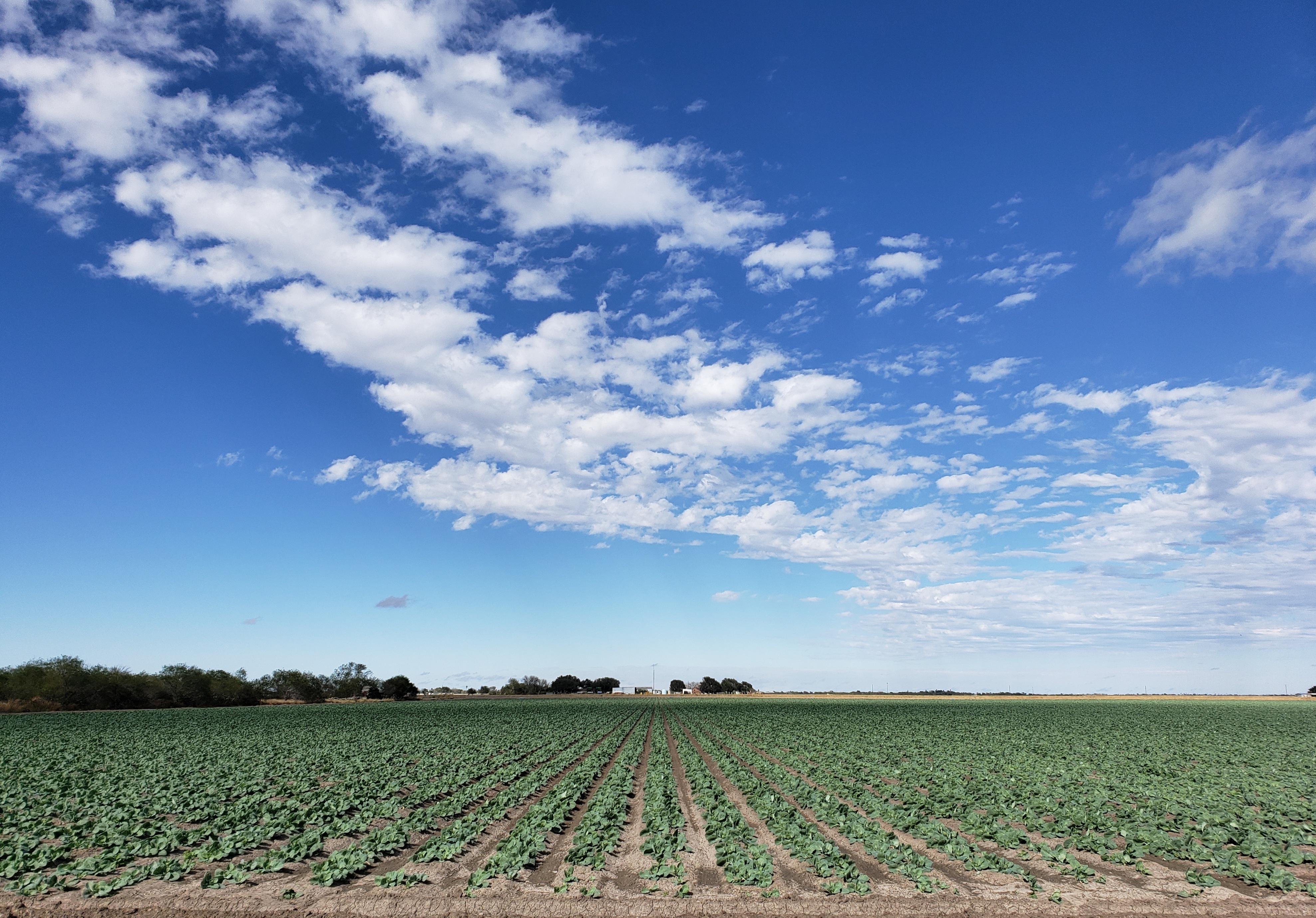 Rural Texas route pic r/USPS