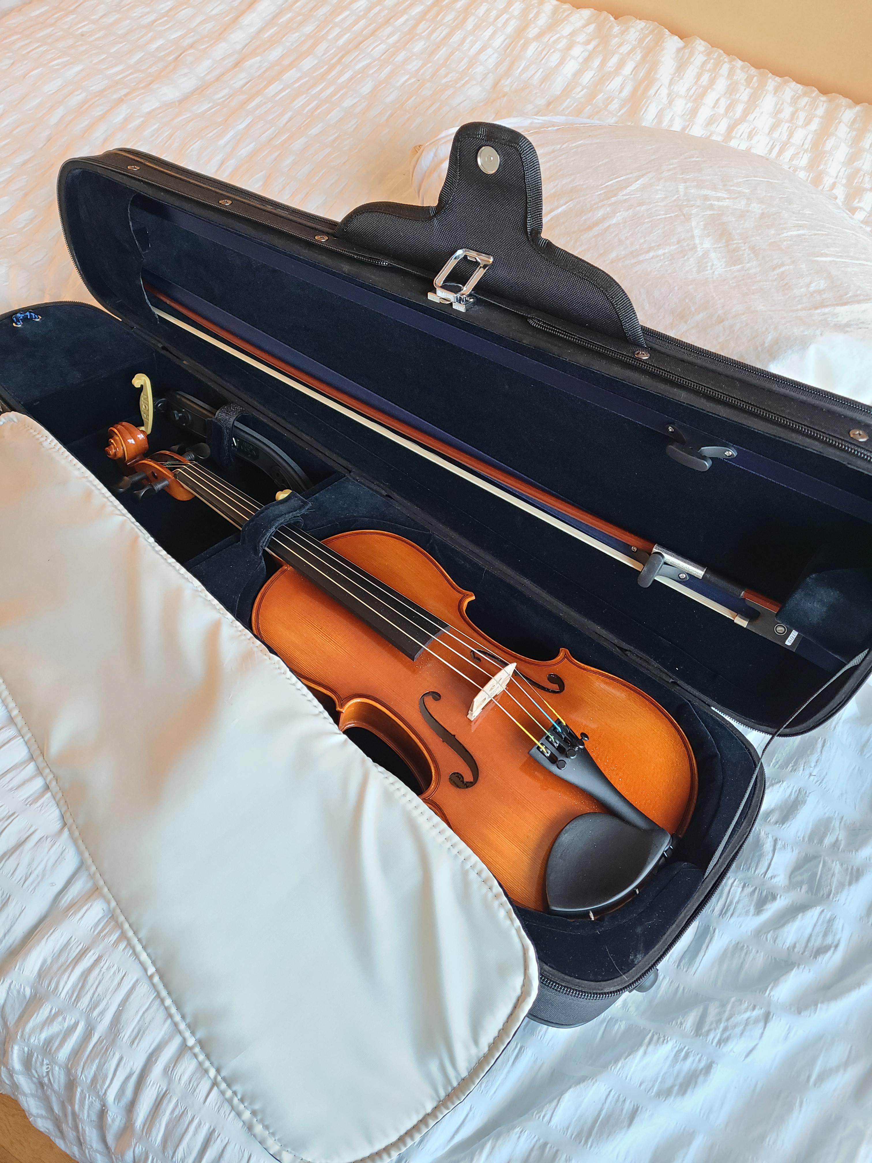 Took your advice and rented an Eastman VL100. Half of the rent paid