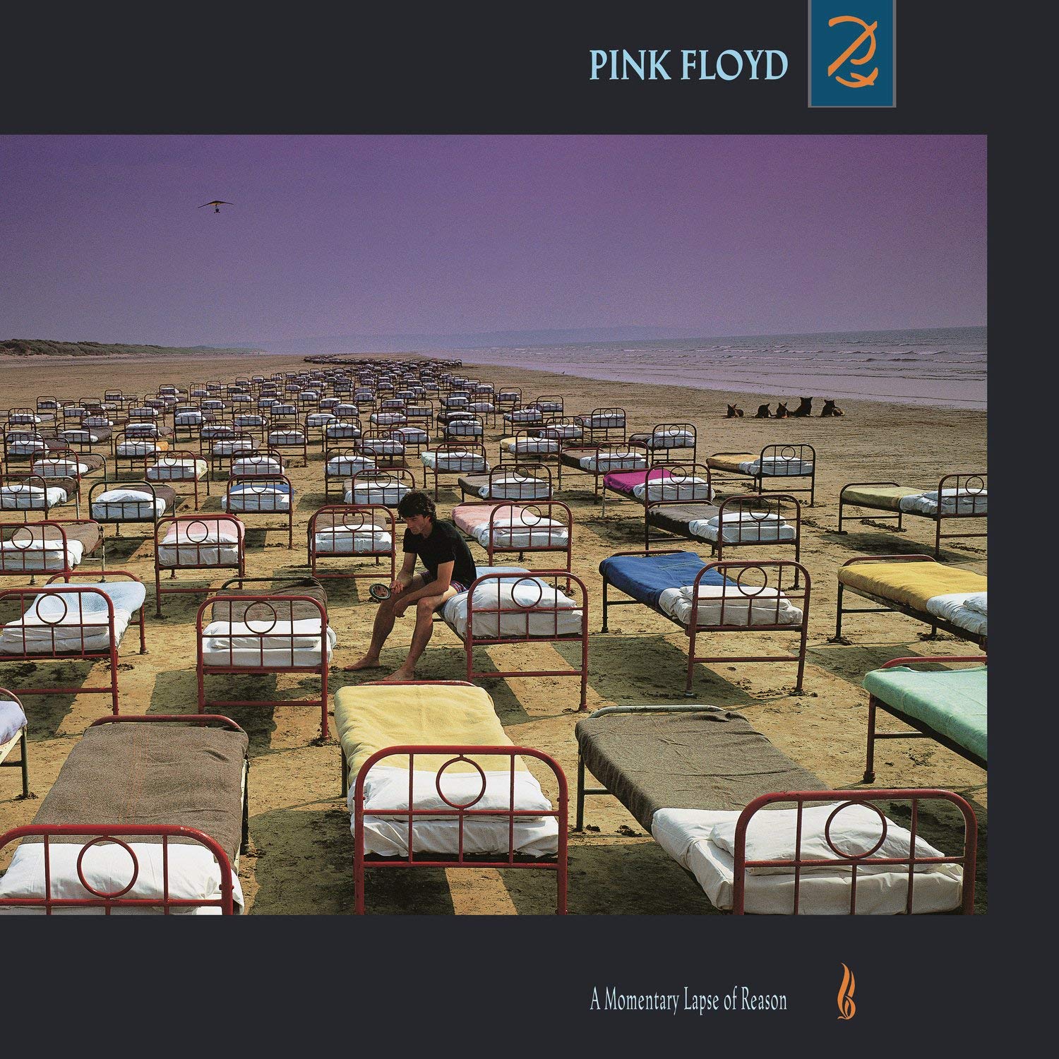 Exactly 700 real beds were precisely laid out on a beach and used for the cover of Pink's Floyd