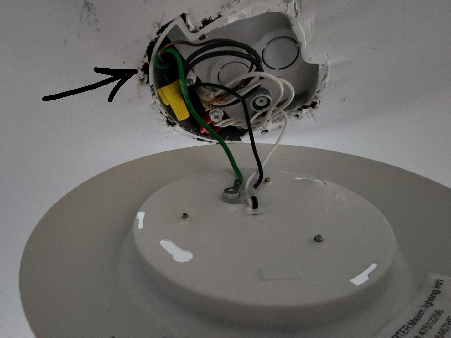 Anyone knows what this is under my ceiling flush mount light? trying to