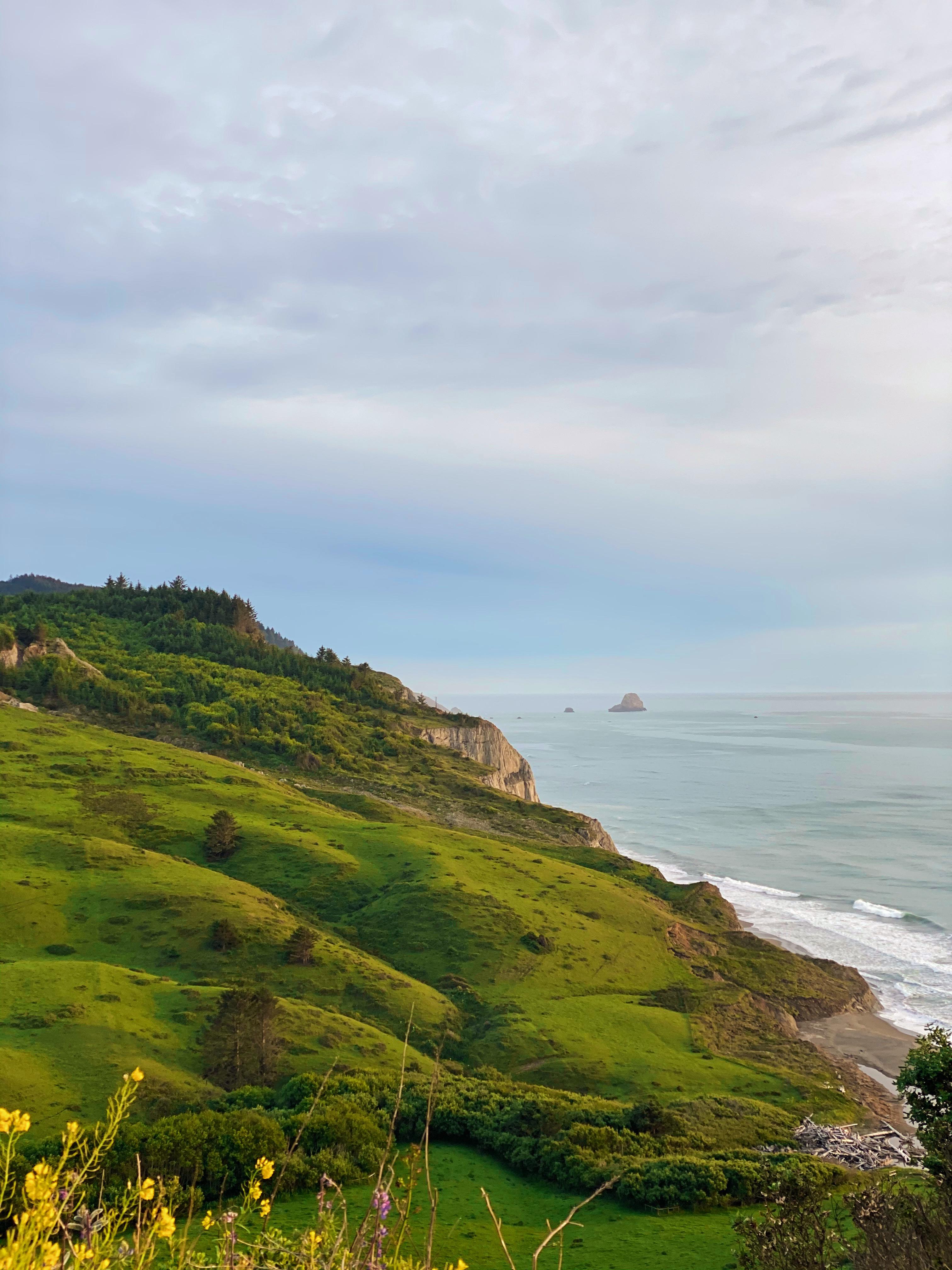 Centerville beach, Northern California r/pics