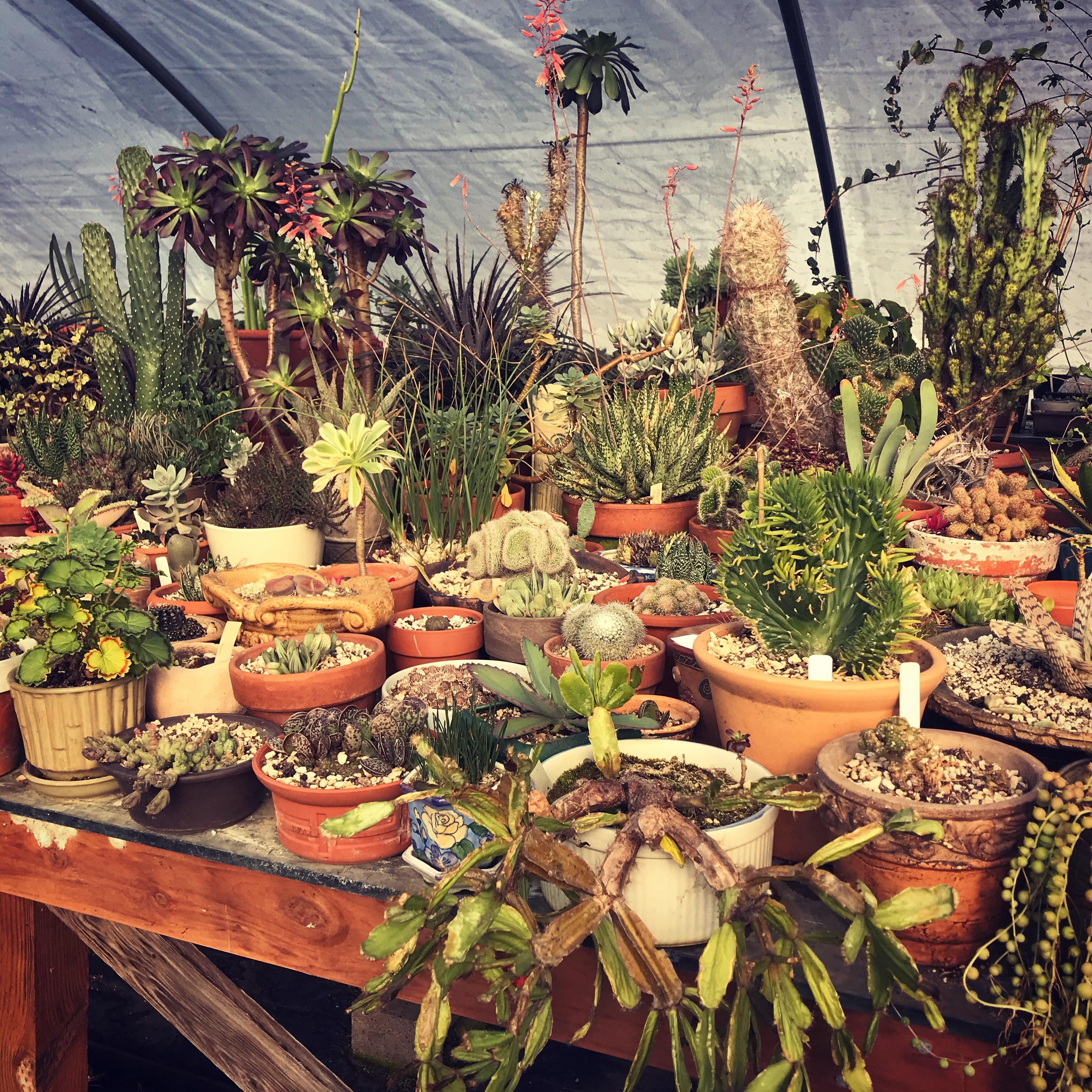 Greenhouse in Eugene, Oregon zone 8 r/gardening